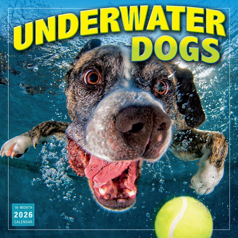 2026 Underwater Dogs - Square Wall Calendar