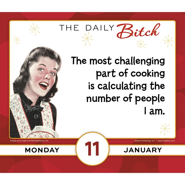 2027 Daily Bitch - Daily Boxed Page-A-Day Calendar