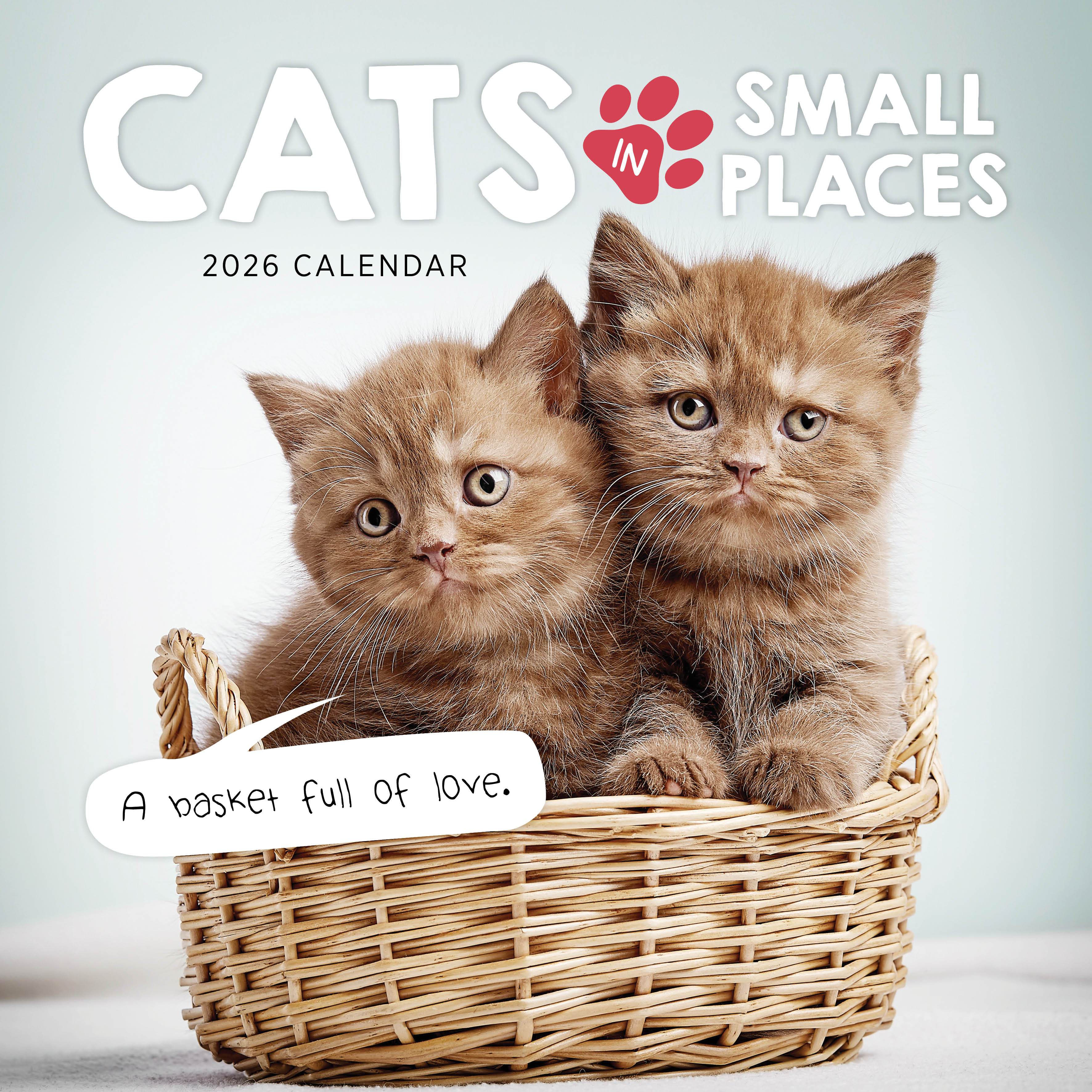2026 Cats In Small Places - Square Wall Calendar