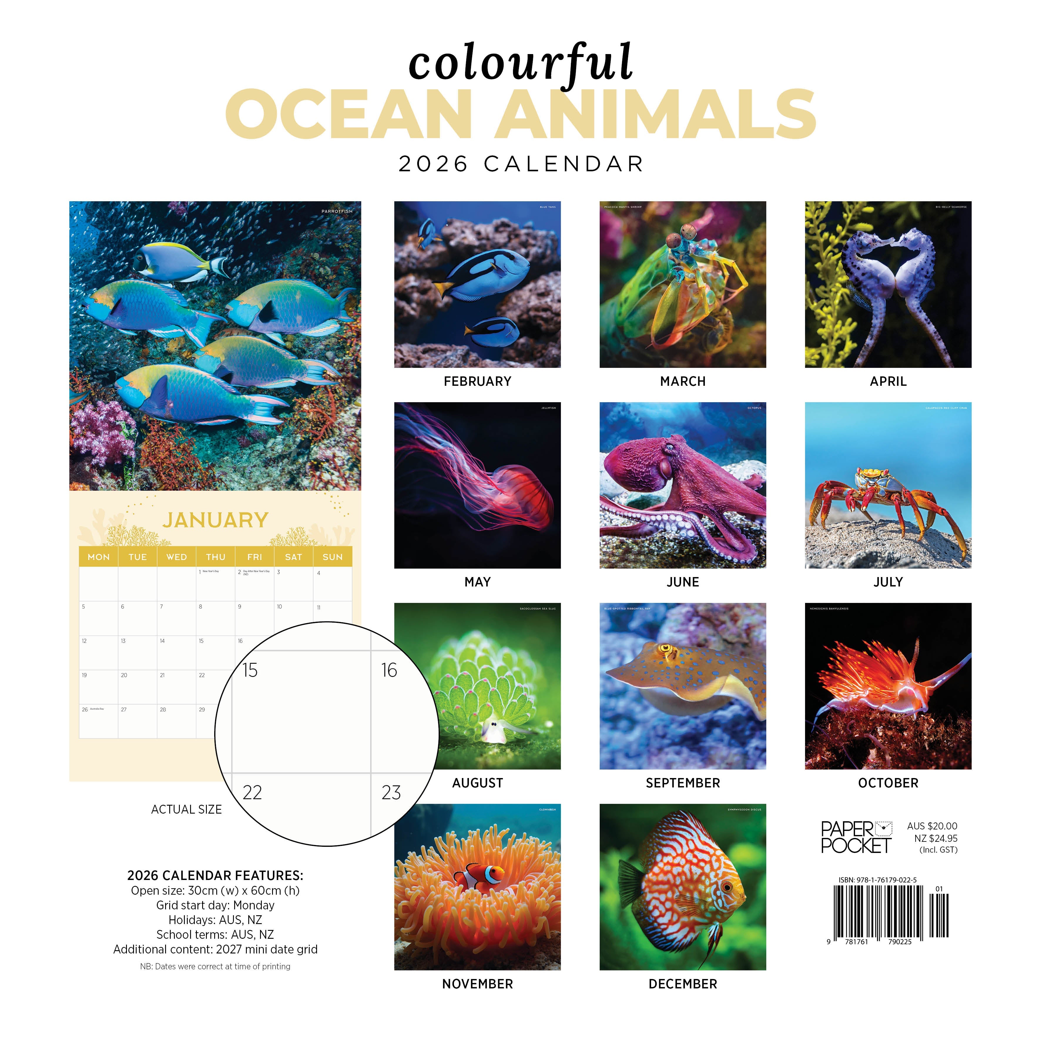 2026 Colourful Ocean Animals - Square Wall Calendar
