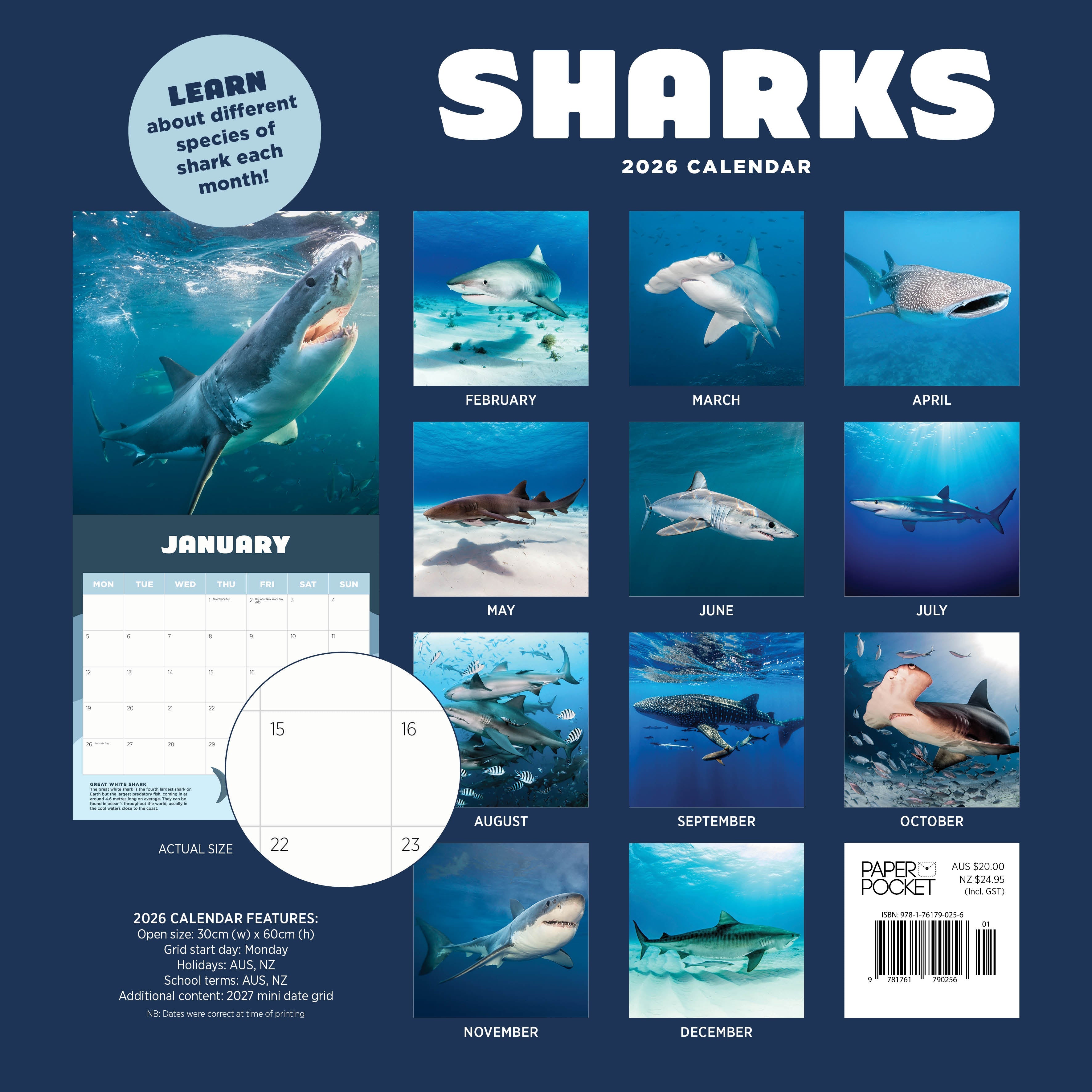 2026 Sharks - Square Wall Calendar