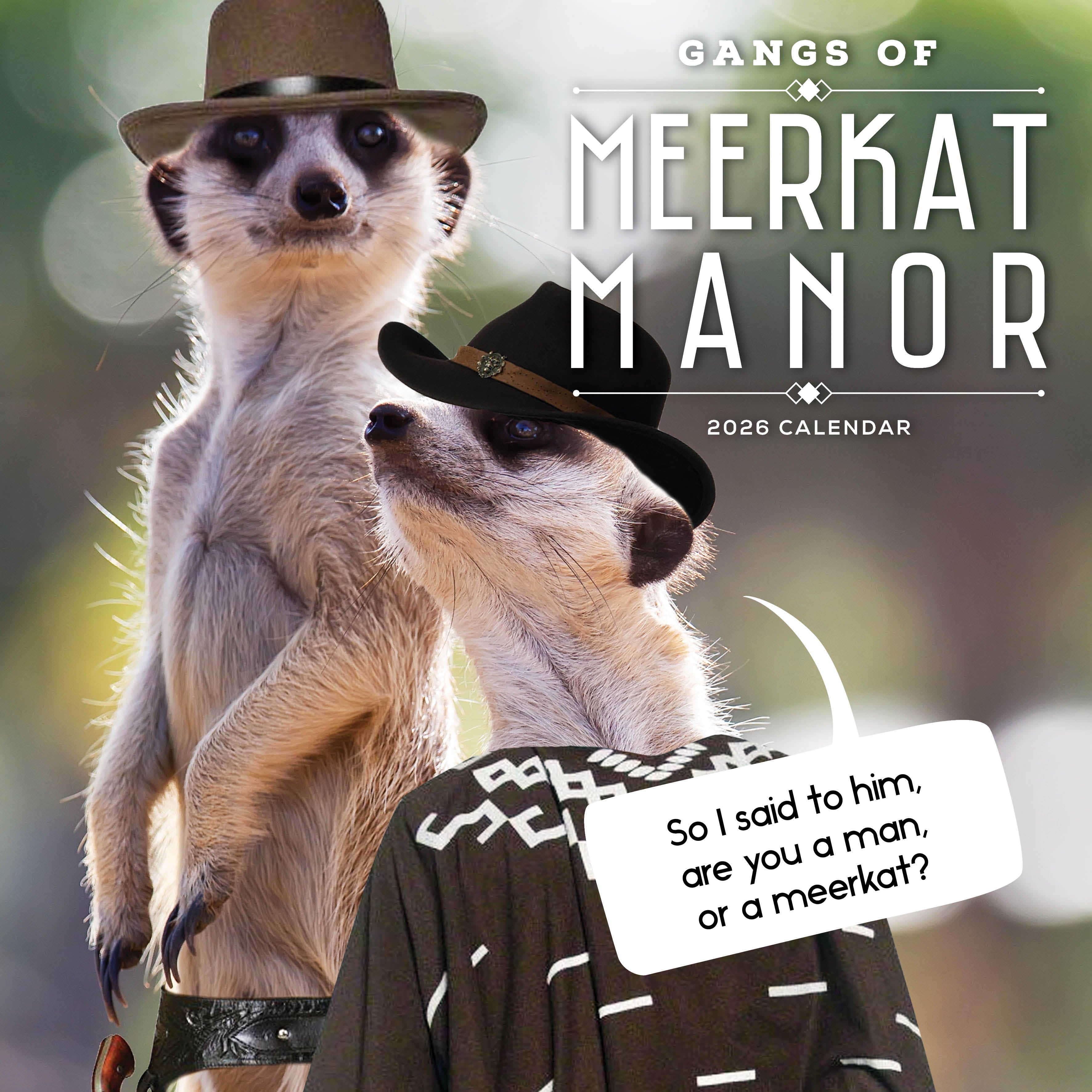 2026 Gangs Of Meerkat Manor - Square Wall Calendar