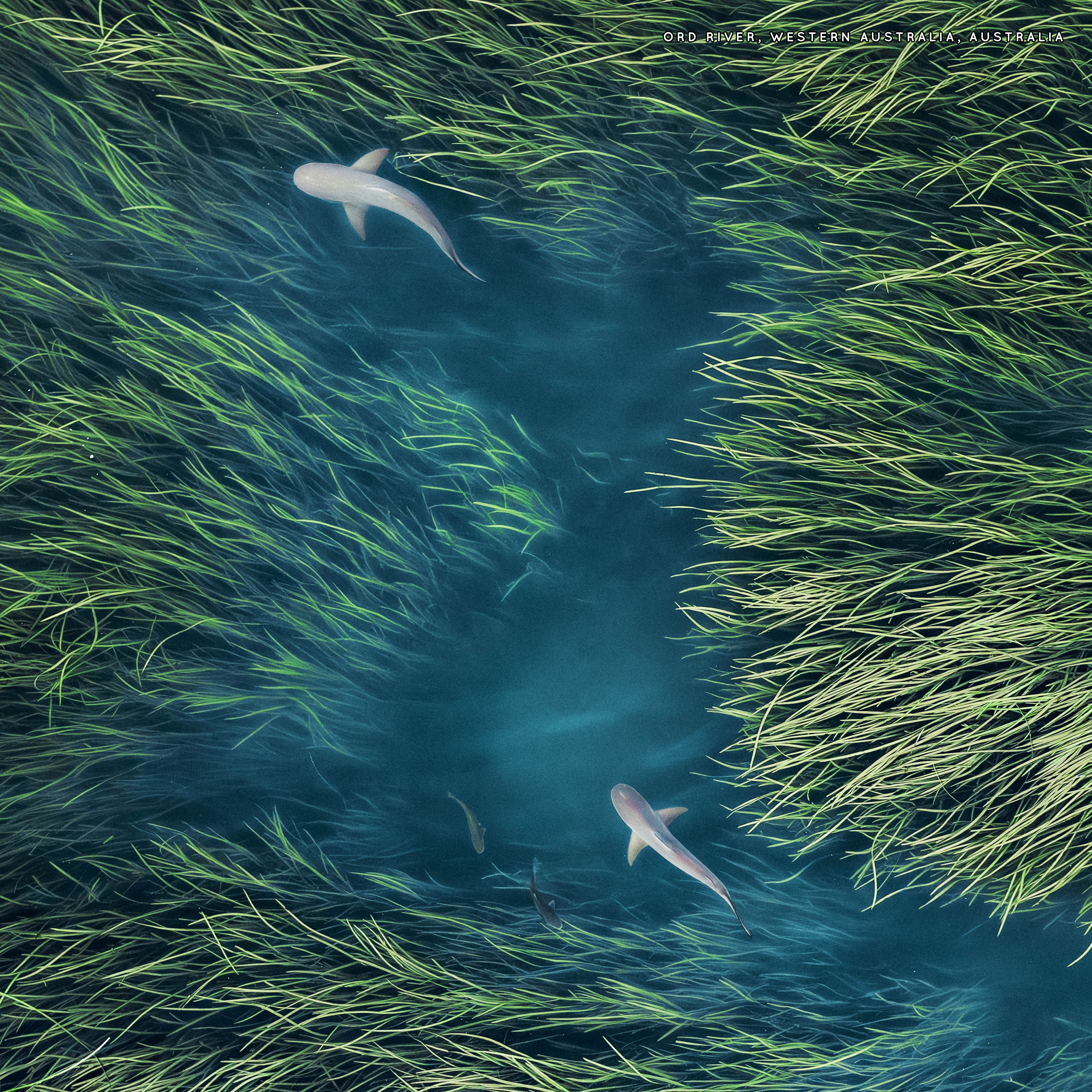 2026 Greatest Drone Shots - Square Wall Calendar