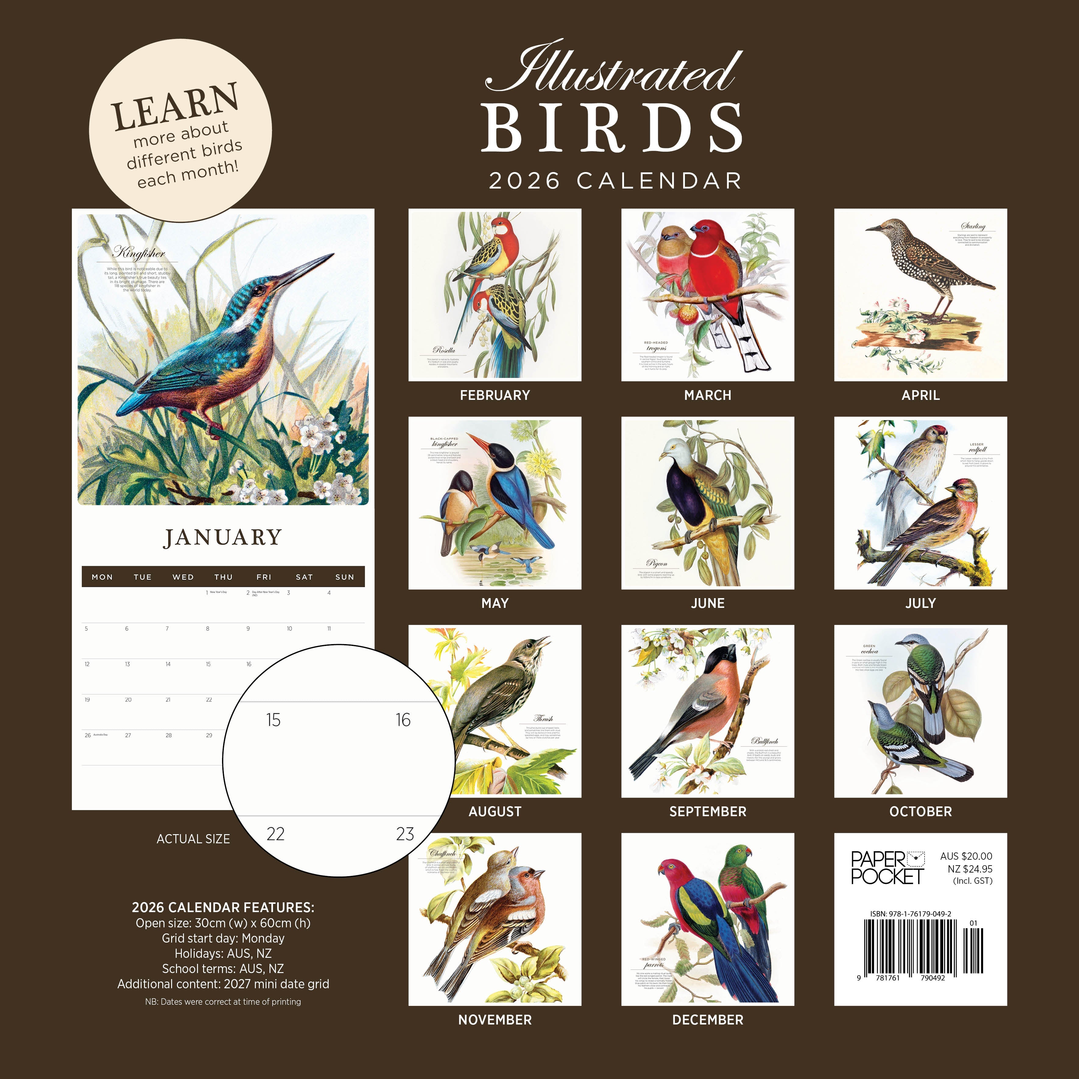 2026 Illustrated Birds - Square Wall Calendar