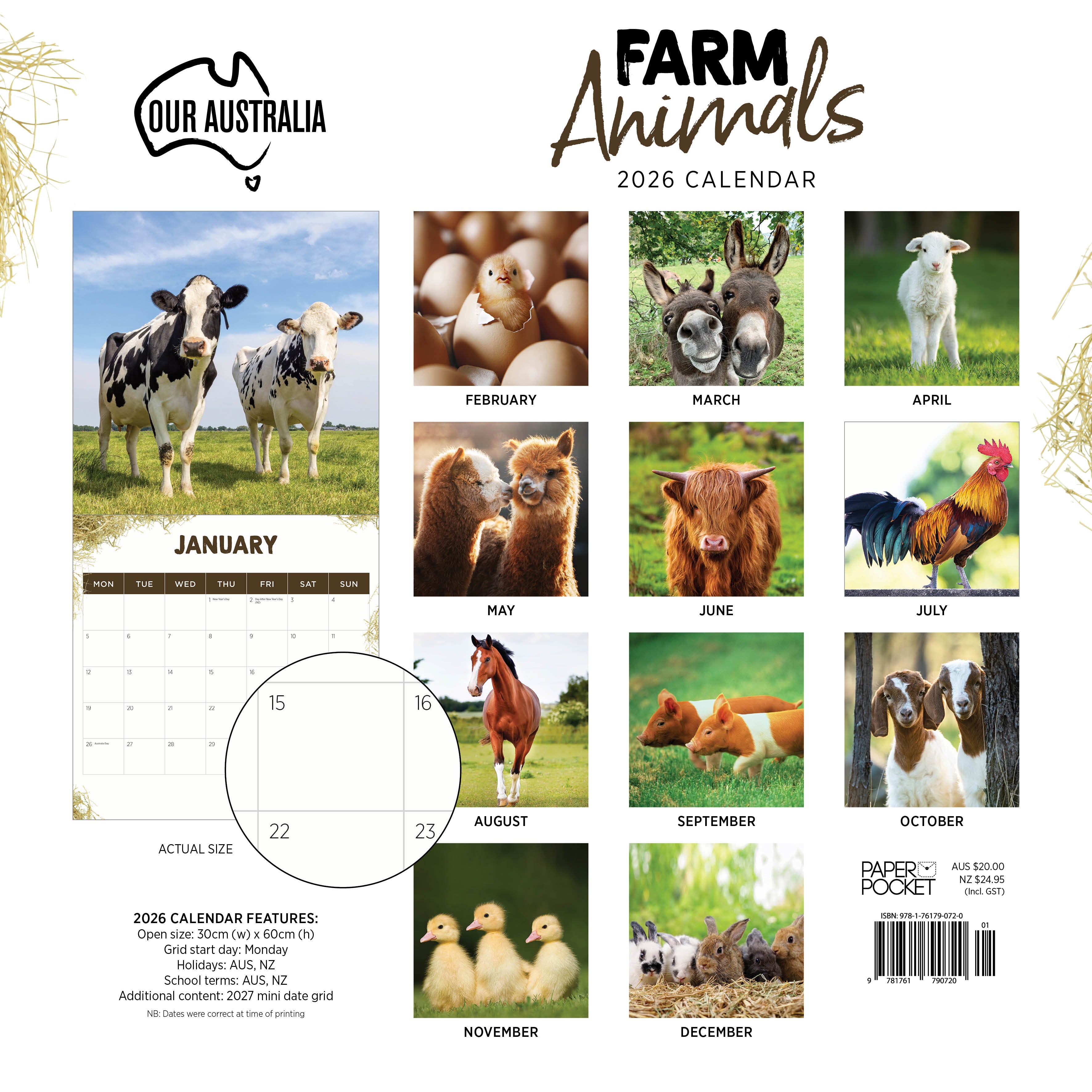 2026 Our Australia Farm Animals - Square Wall Calendar