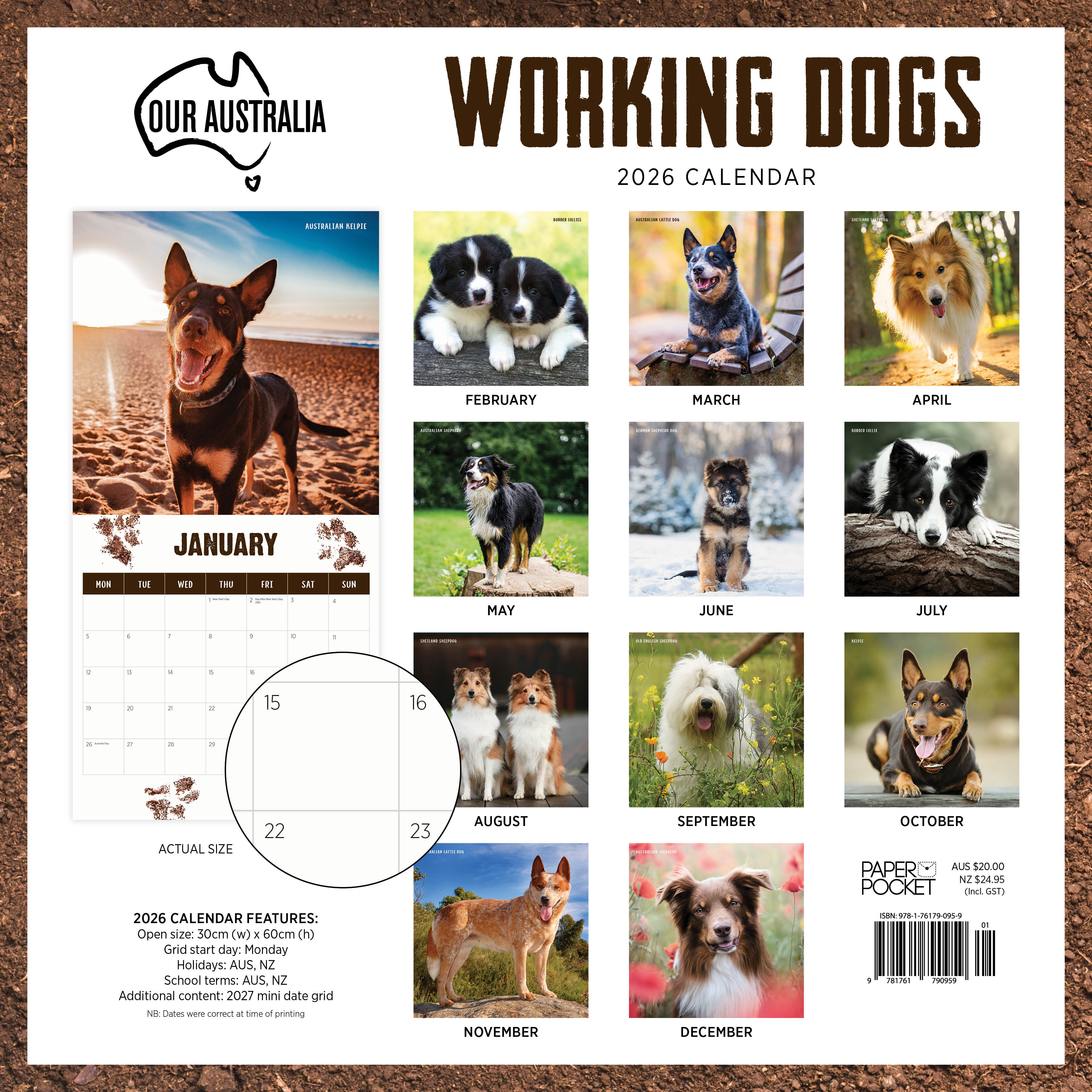2026 Our Australia Working Dogs - Square Wall Calendar