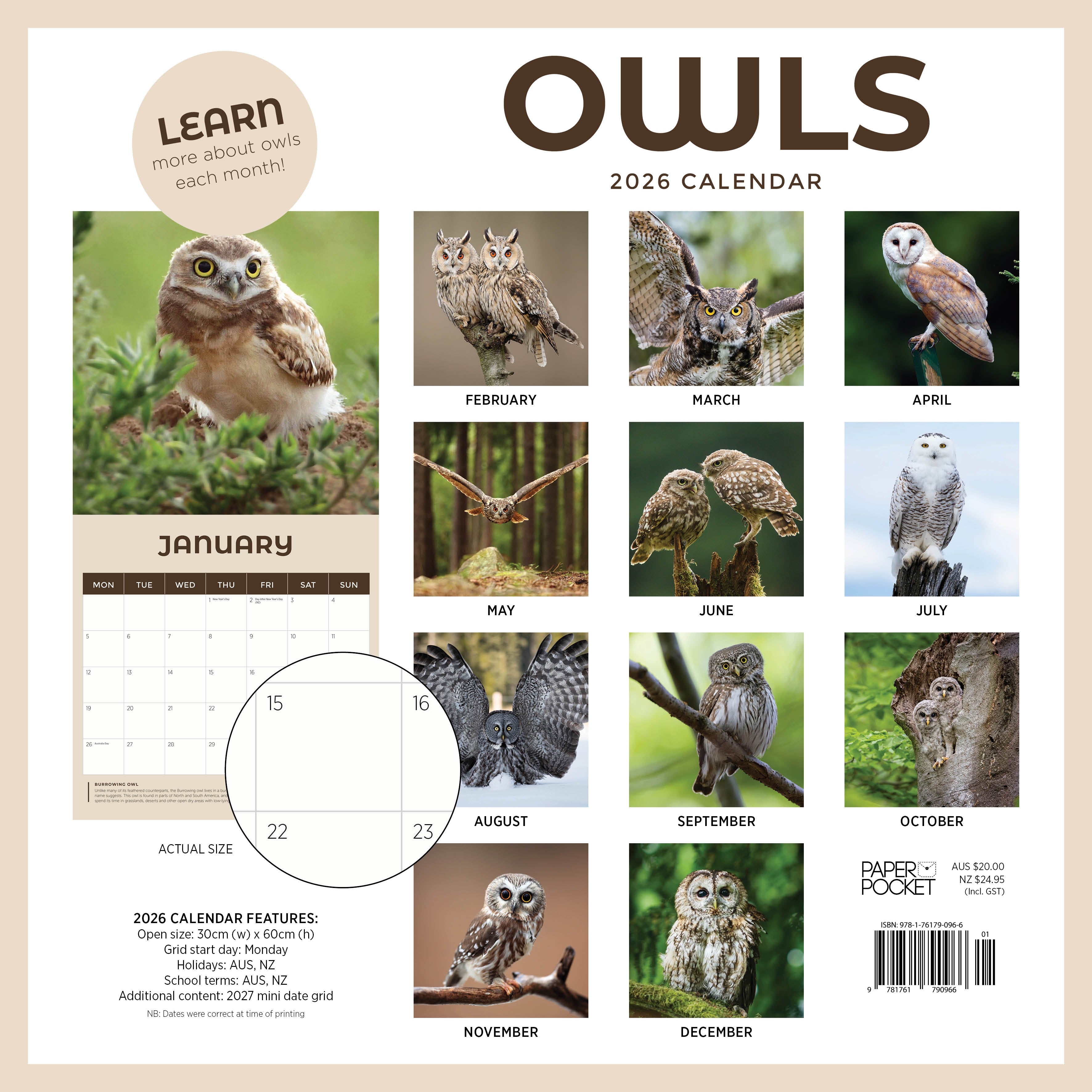 2026 Owls - Square Wall Calendar