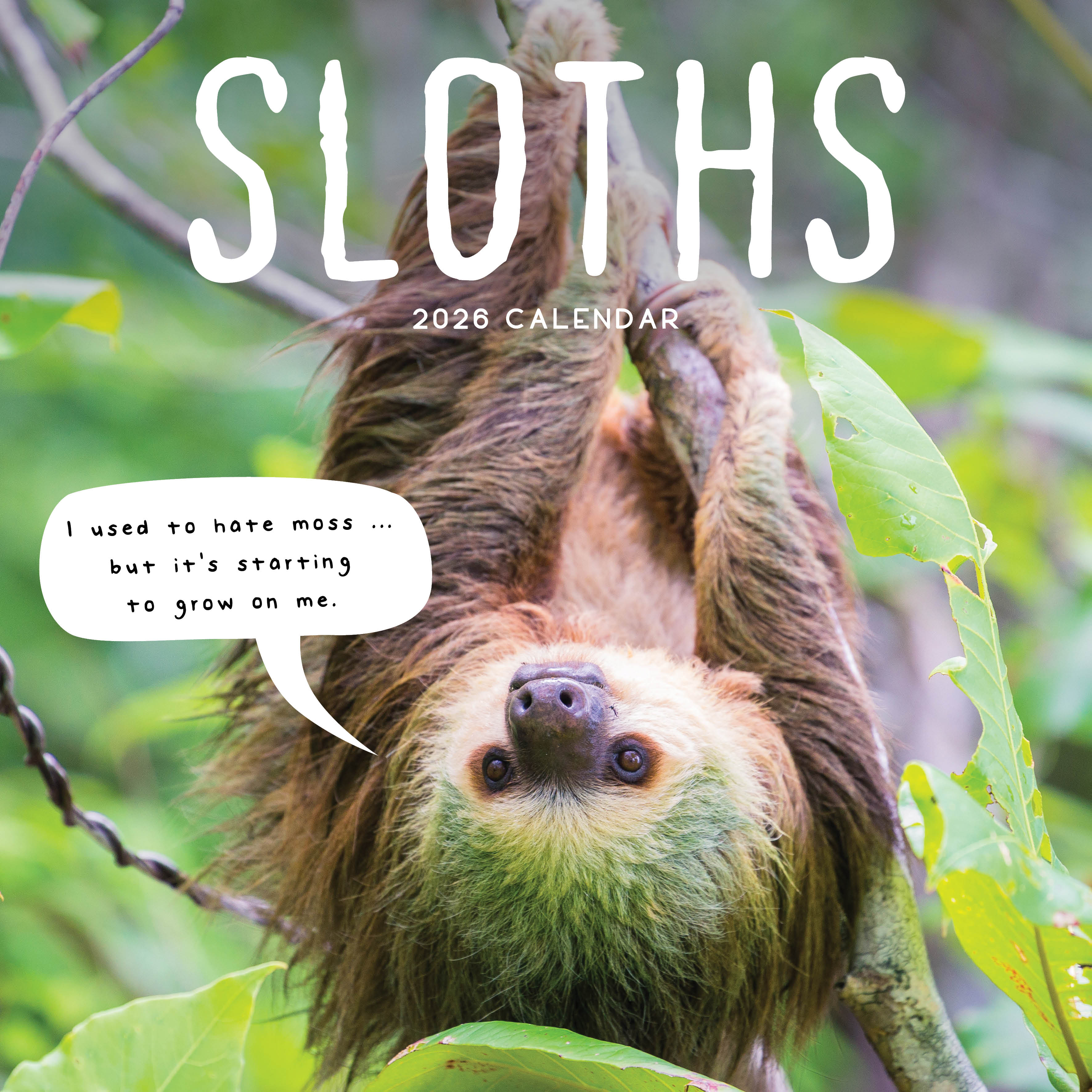 2026 Sloths - Square Wall Calendar