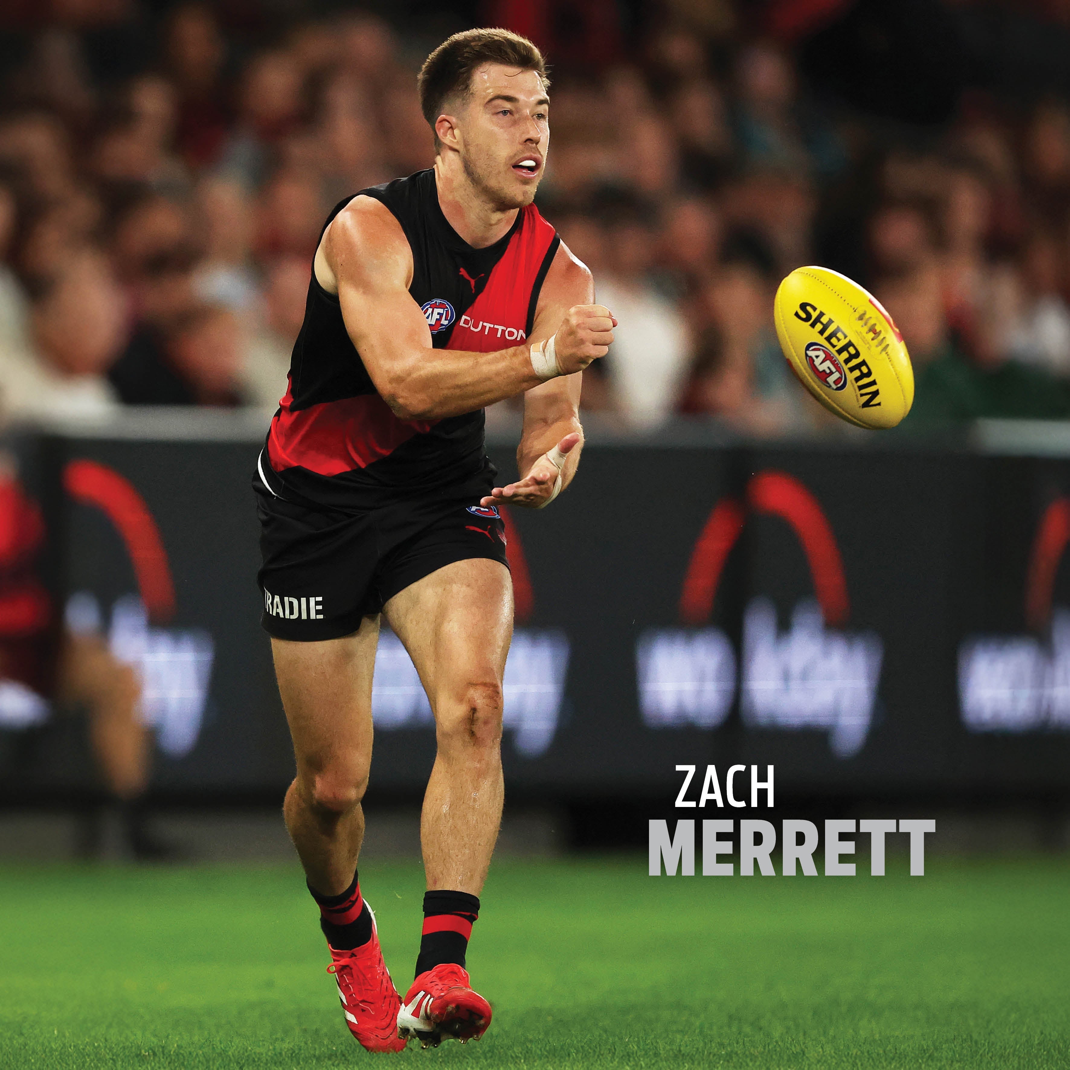 2026 AFL Essendon Bombers - Square Wall Calendar