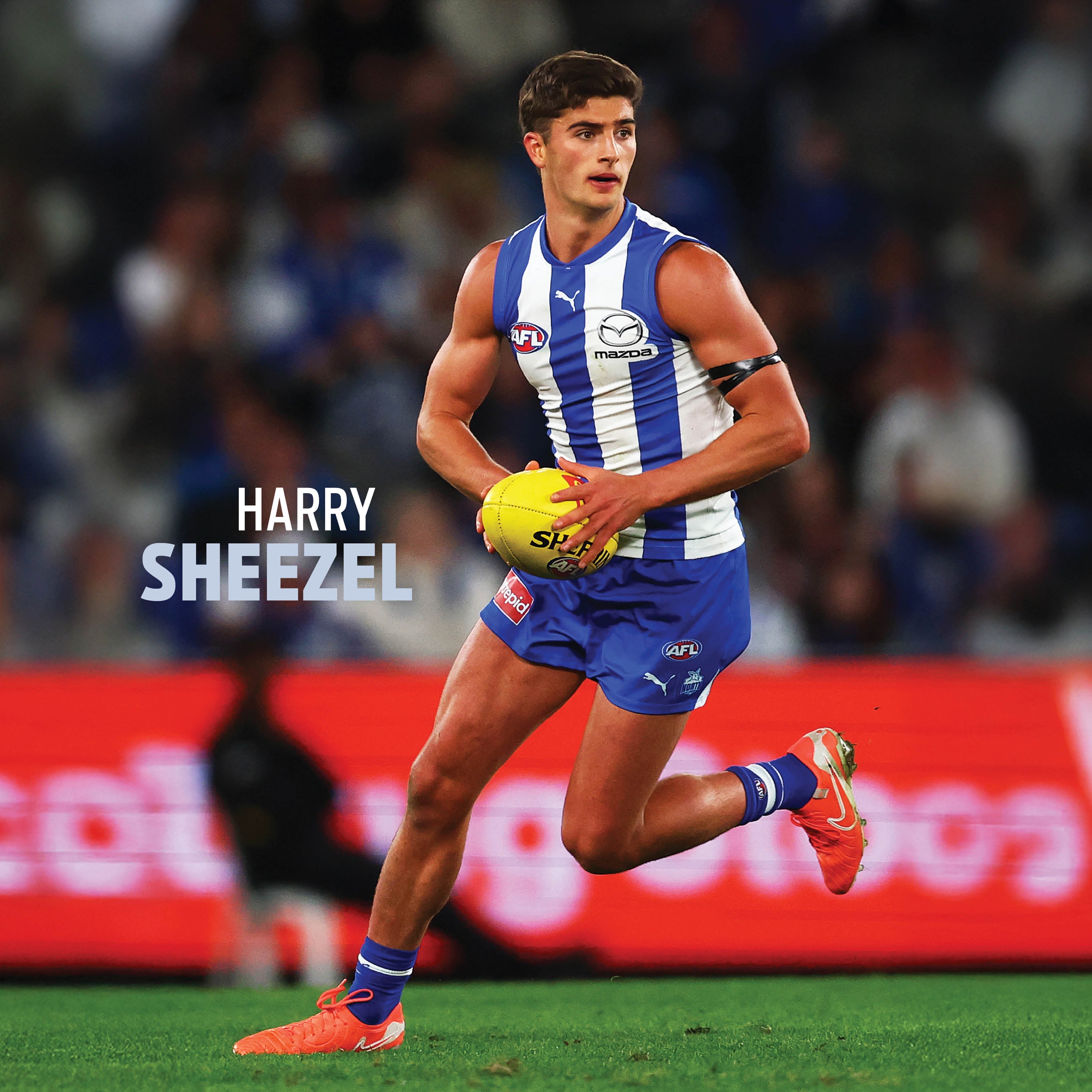 2026 AFL North Melbourne Kangaroos - Square Wall Calendar