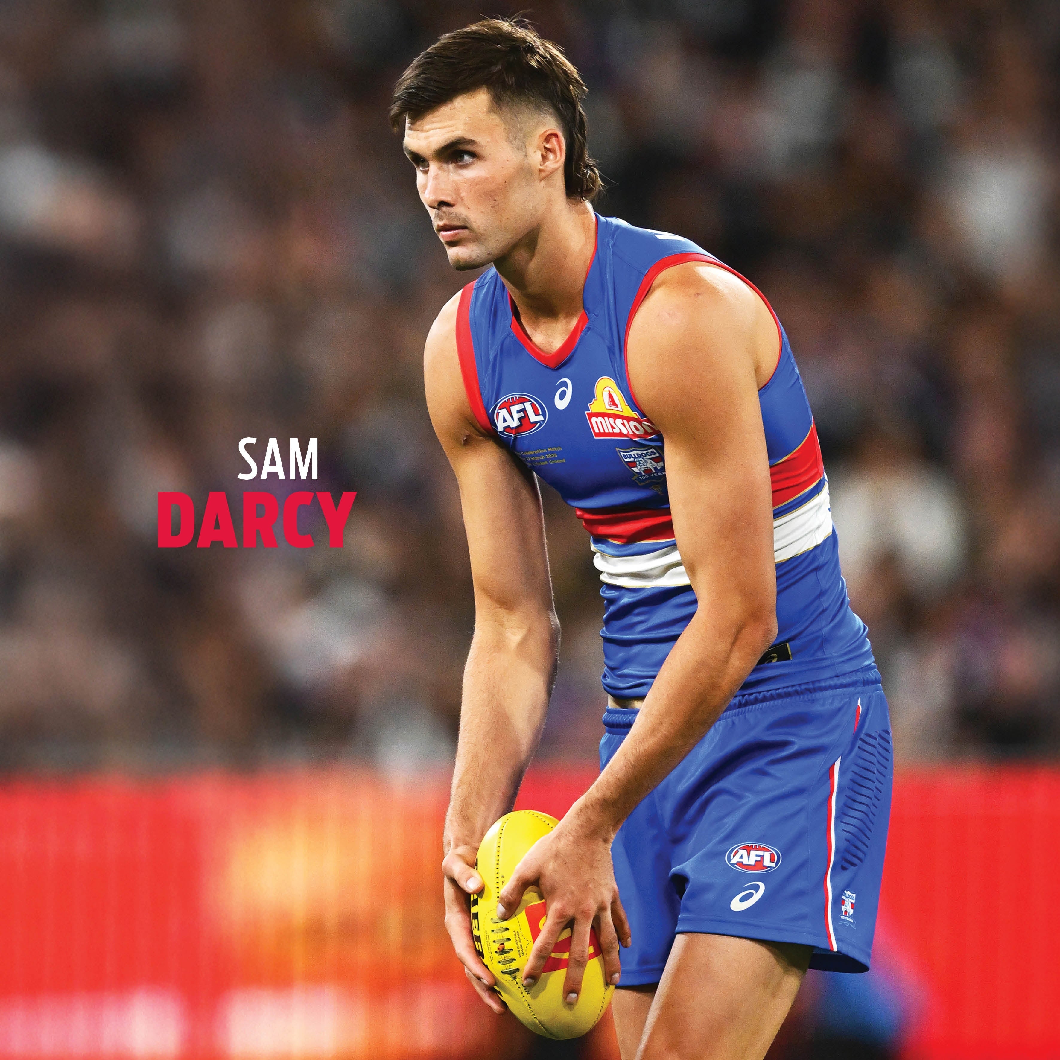 2026 AFL Western Bulldogs - Square Wall Calendar