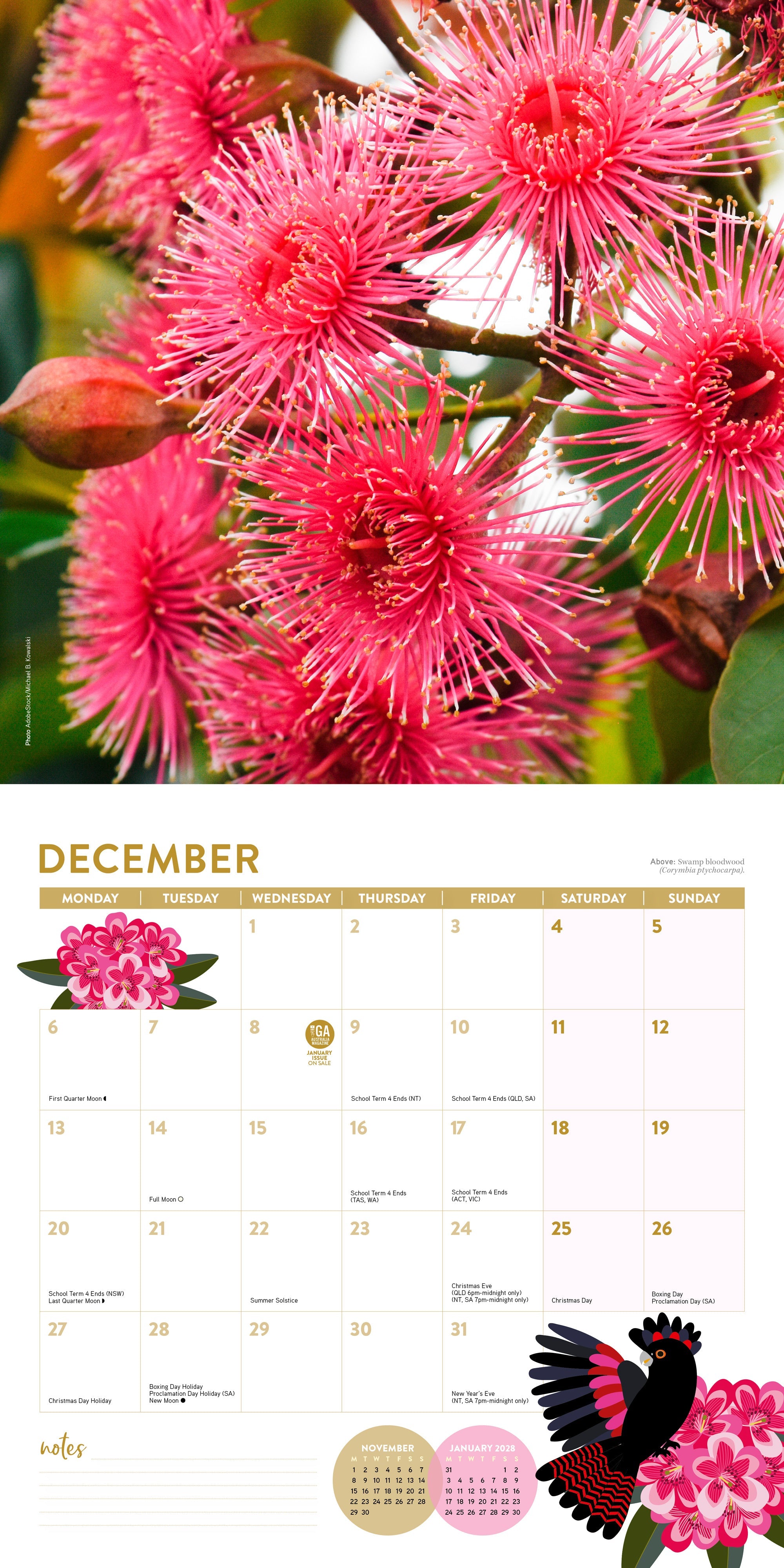 2027 ABC Gardening Australia - Square Wall Calendar — December spread
