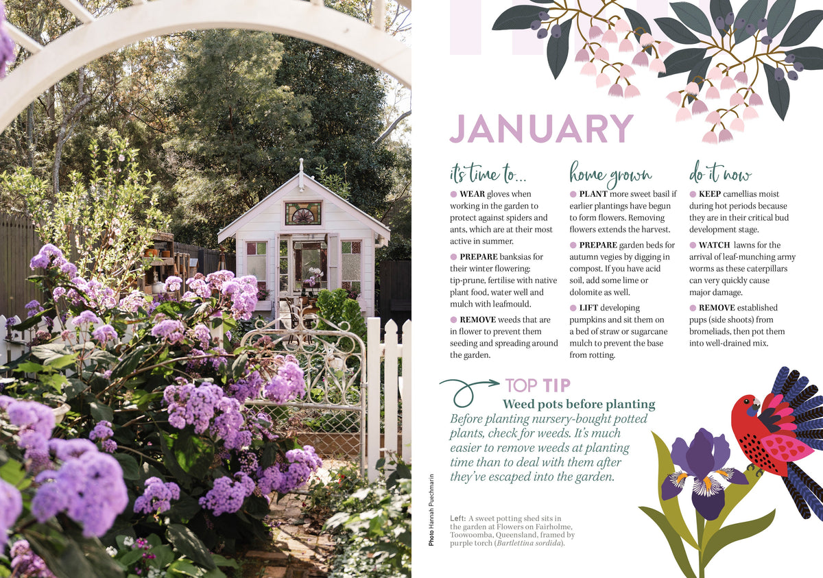 2027 ABC Gardening Australia - Weekly Diary/Planner — January gardening tips