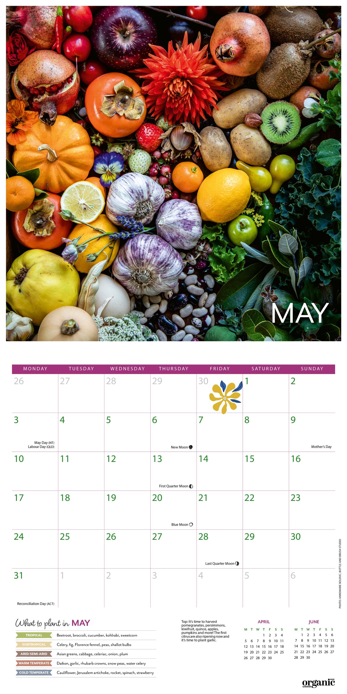 2027 ABC Organic Gardener - Square Wall Calendar — May spread