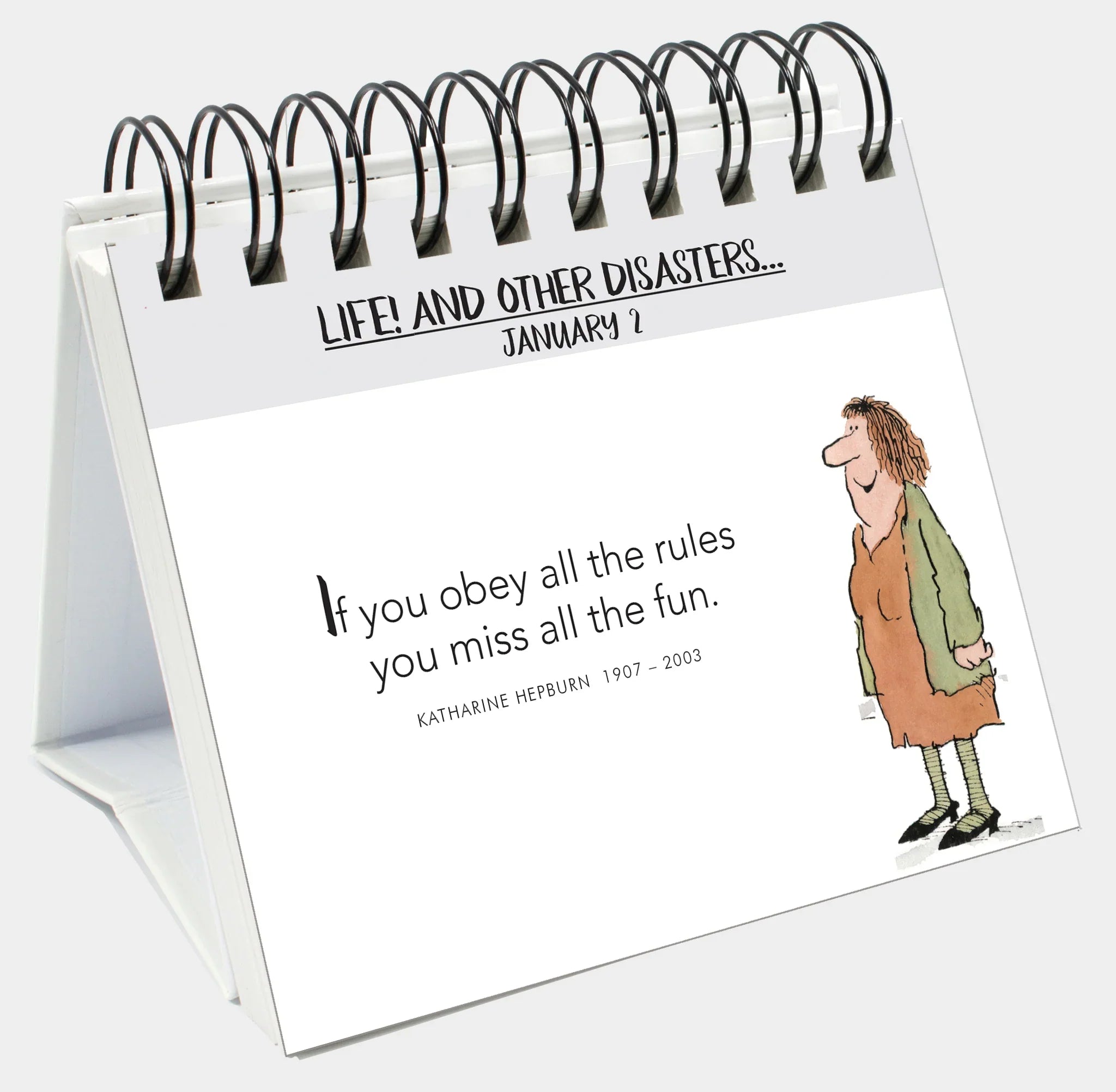 365 Life and Other Disasters - Page-A-Day Desk Easel Calendar