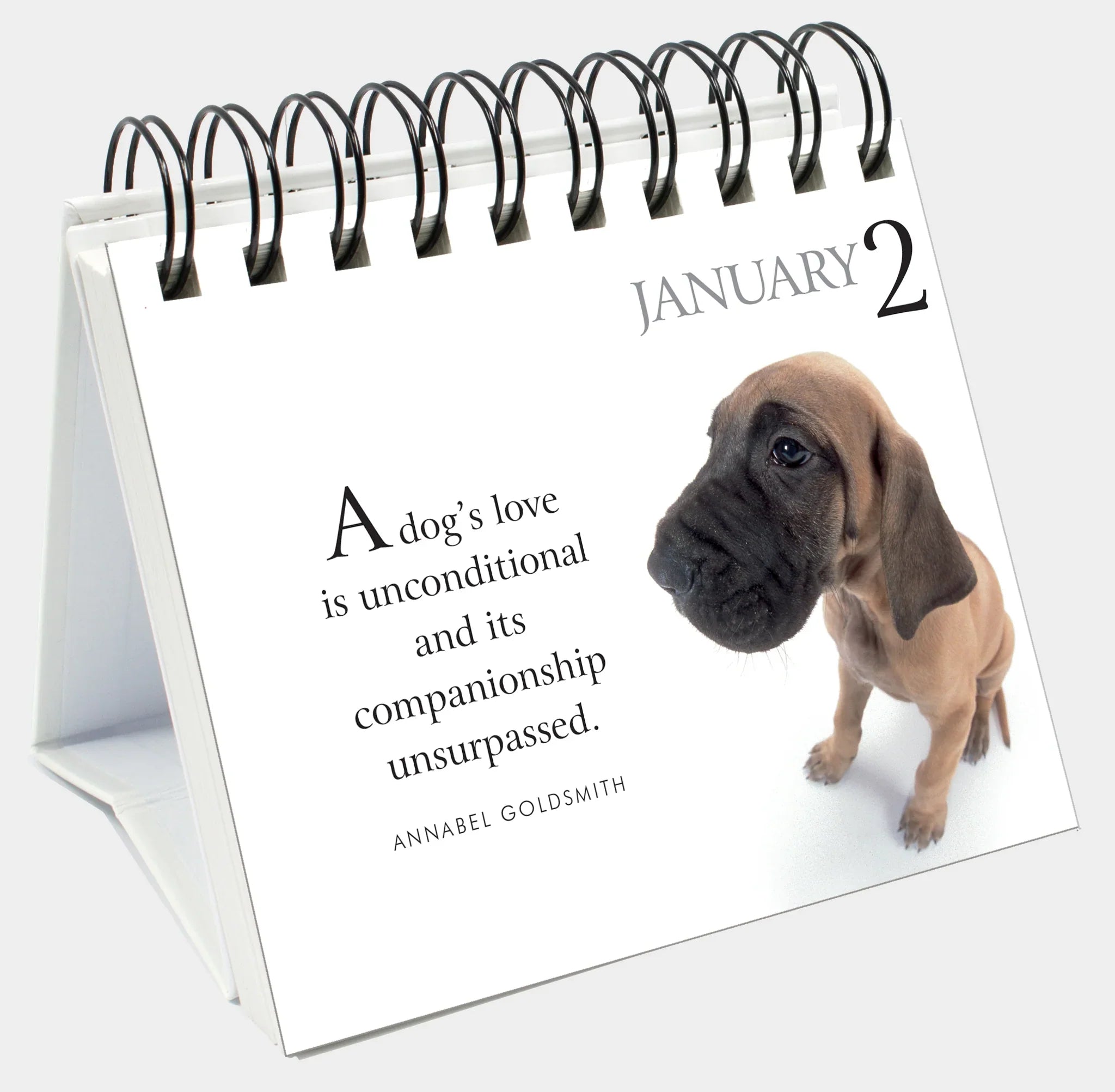 365 Days With My Faithful Dog - Page-A-Day Desk Easel Calendar
