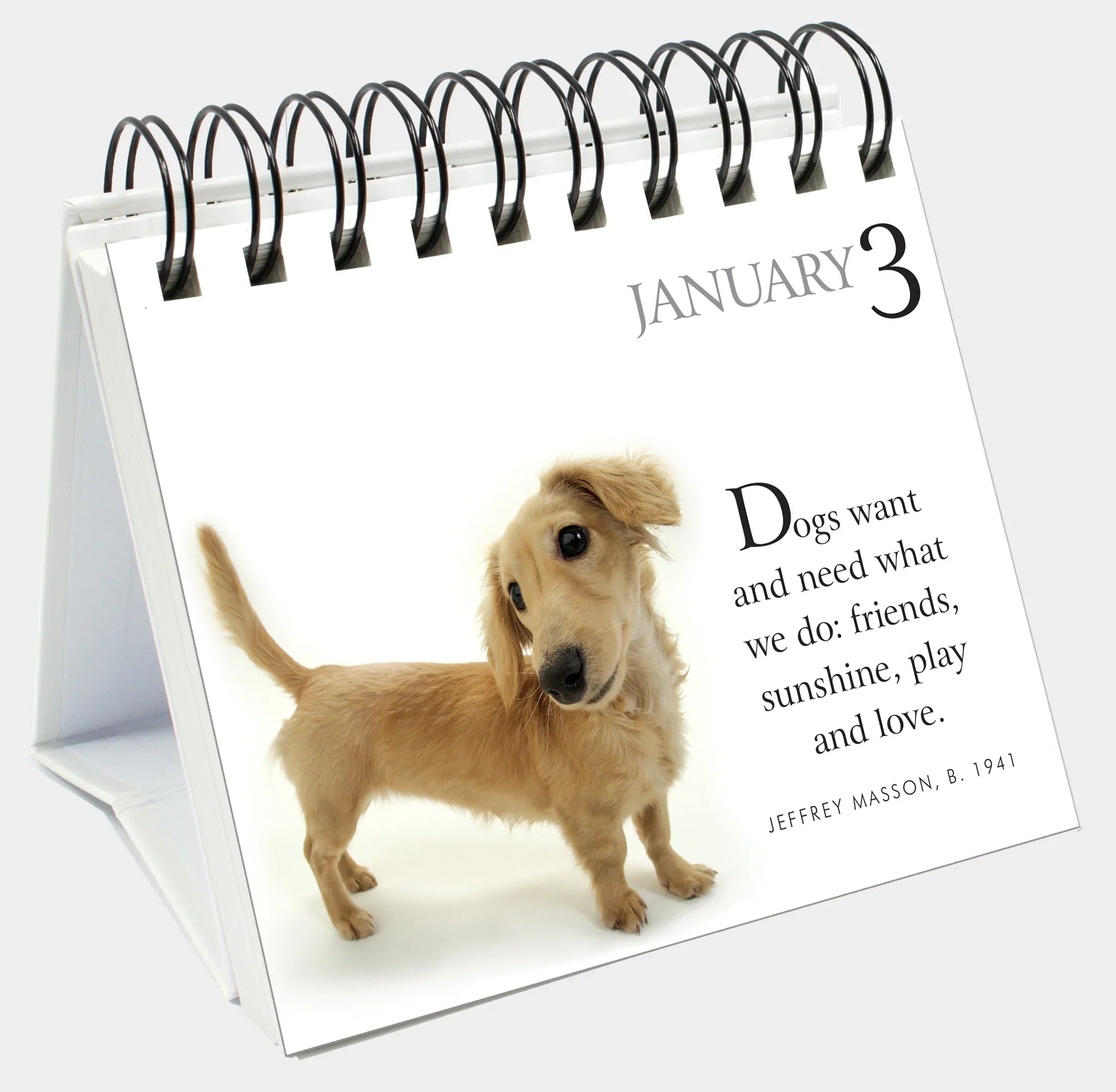 365 Days With My Faithful Dog - Page-A-Day Desk Easel Calendar