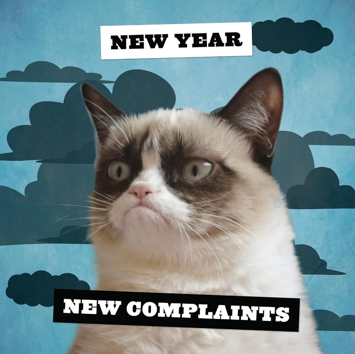 2026 Grumpy Cat - Square Wall Calendar
