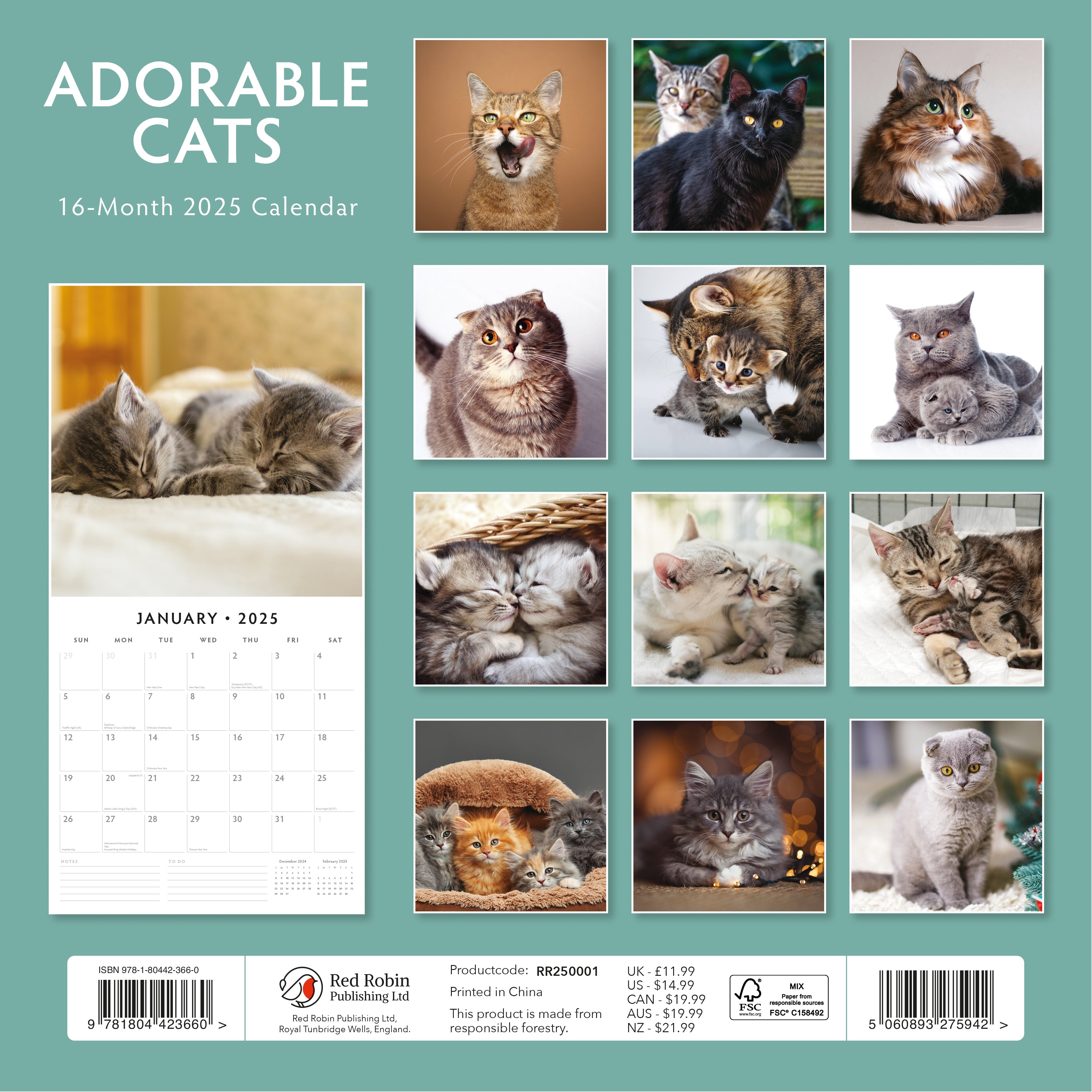 2025 Adorable Cats - Square Wall Calendar