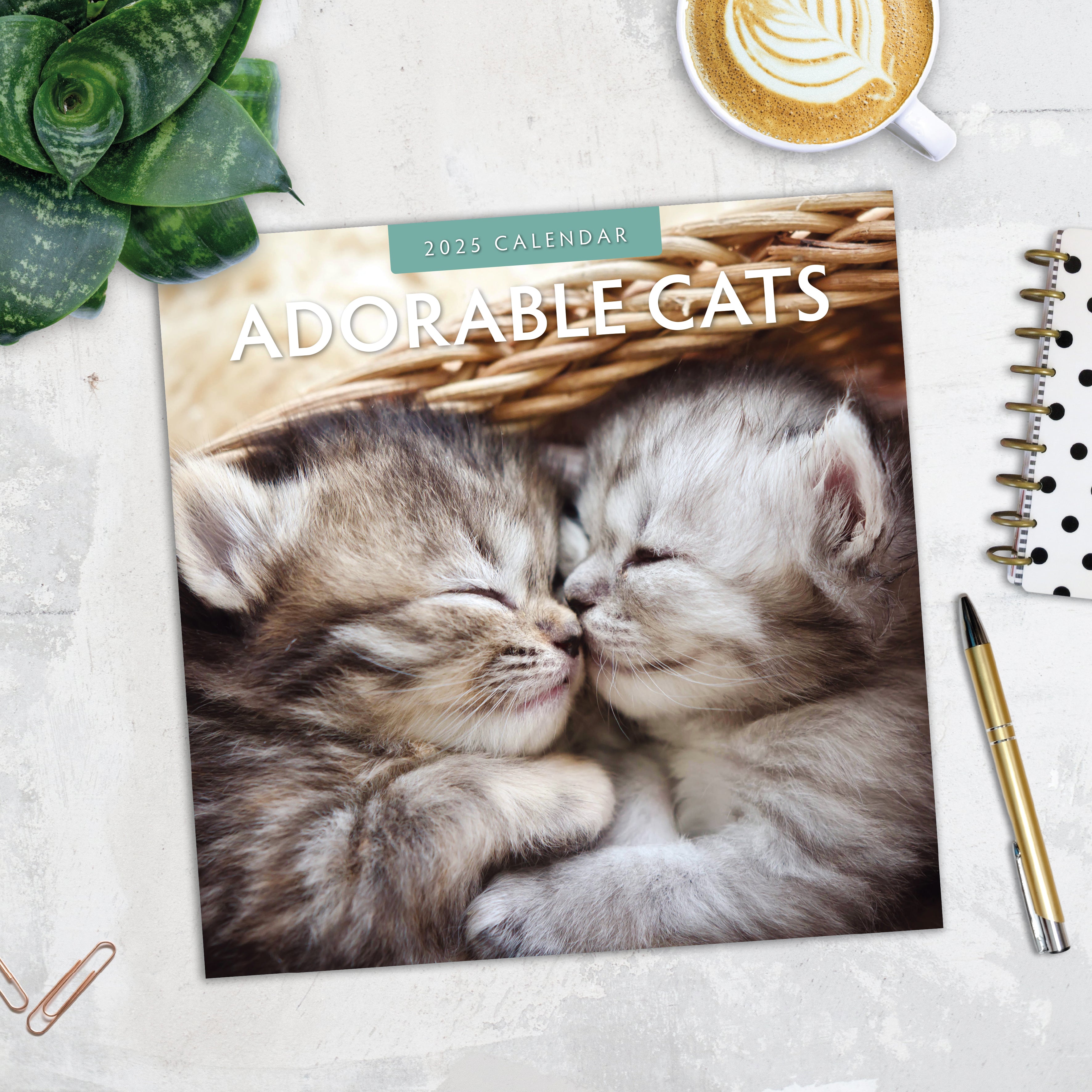 2025 Adorable Cats - Square Wall Calendar