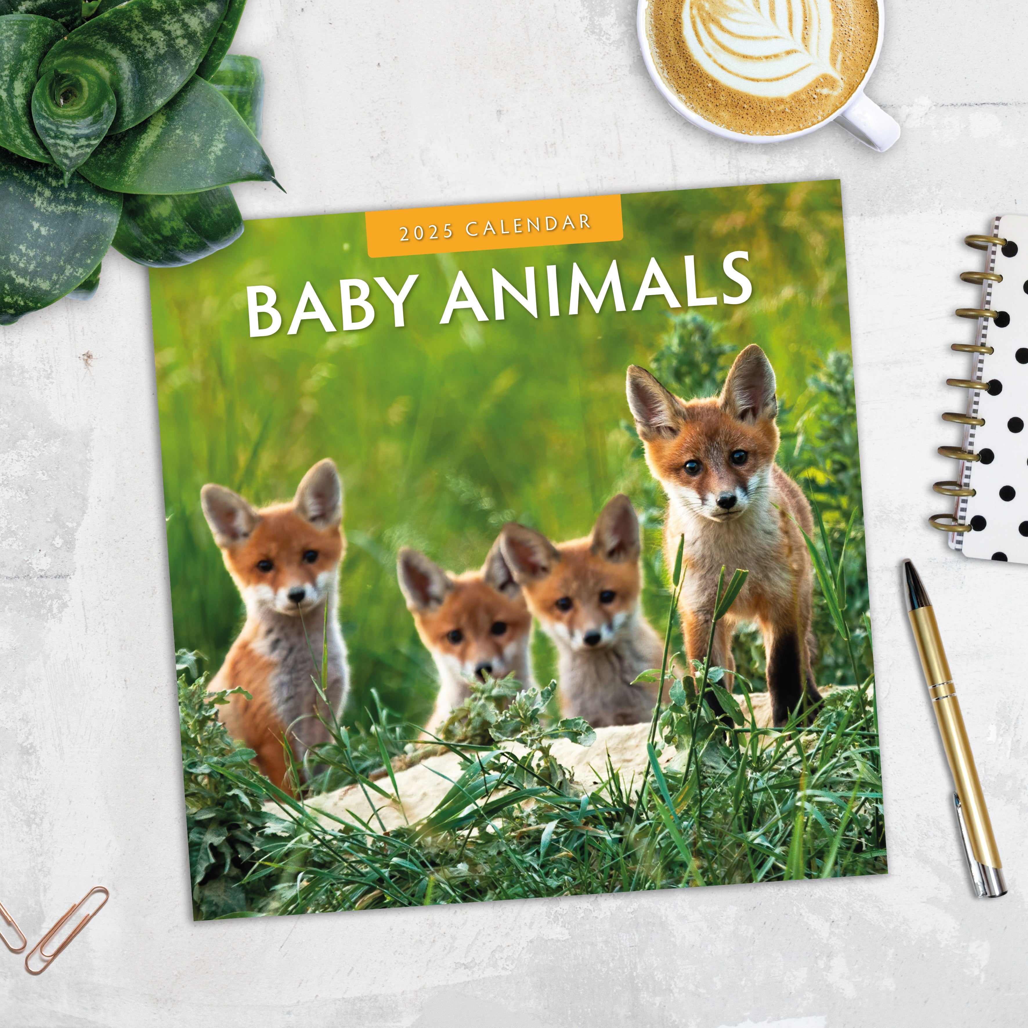 2025 Baby Animals - Square Wall Calendar