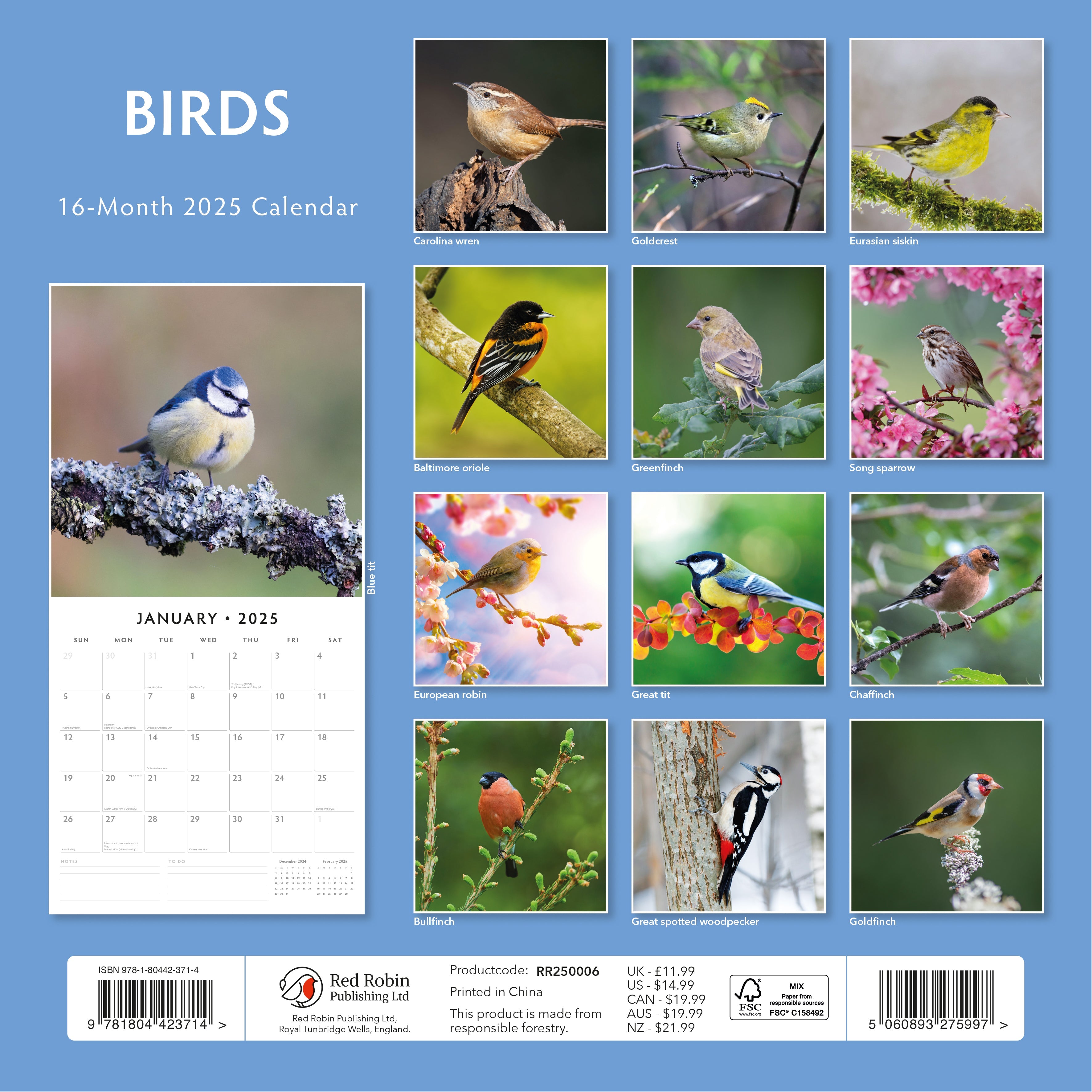 2025 Birds - Square Wall Calendar