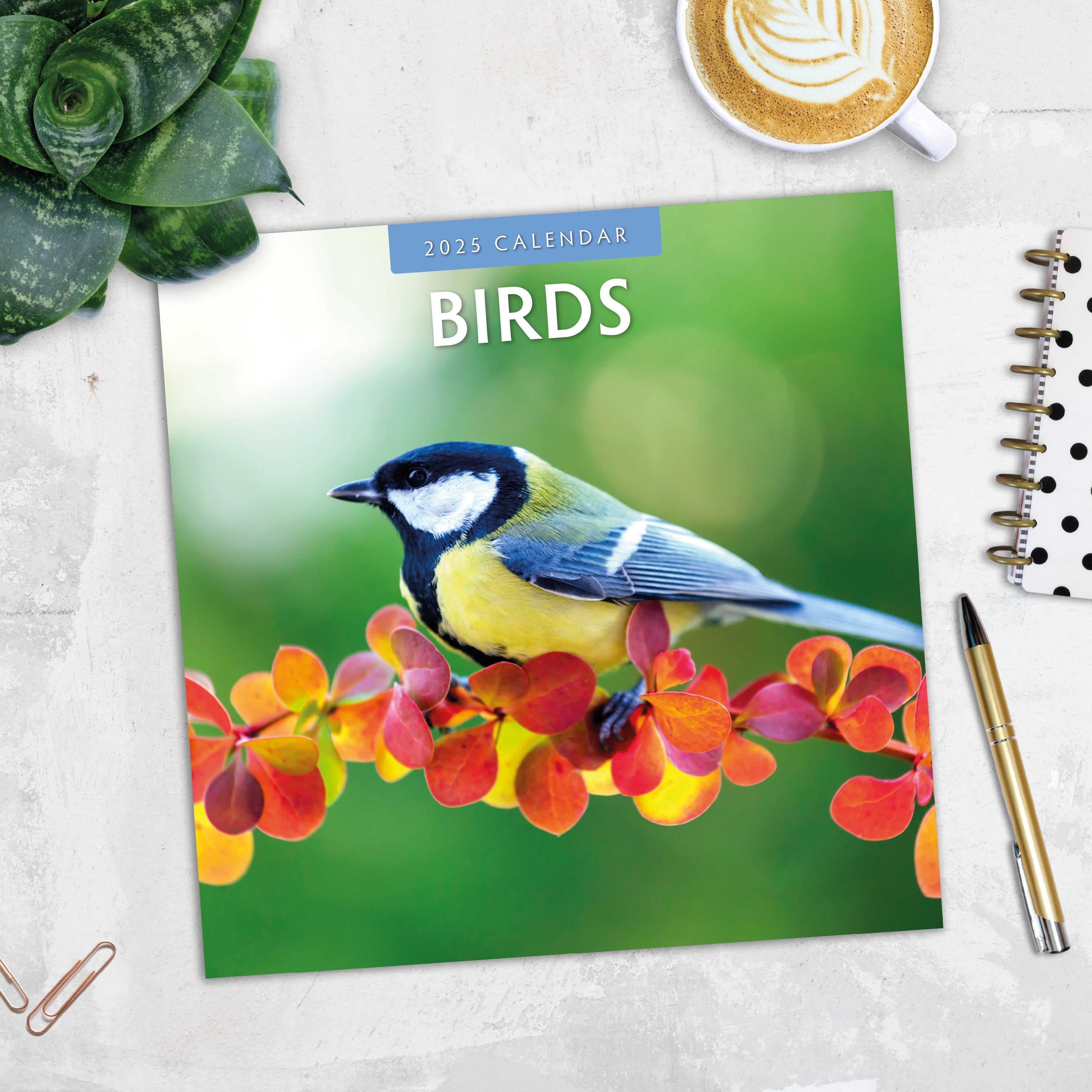 2025 Birds - Square Wall Calendar