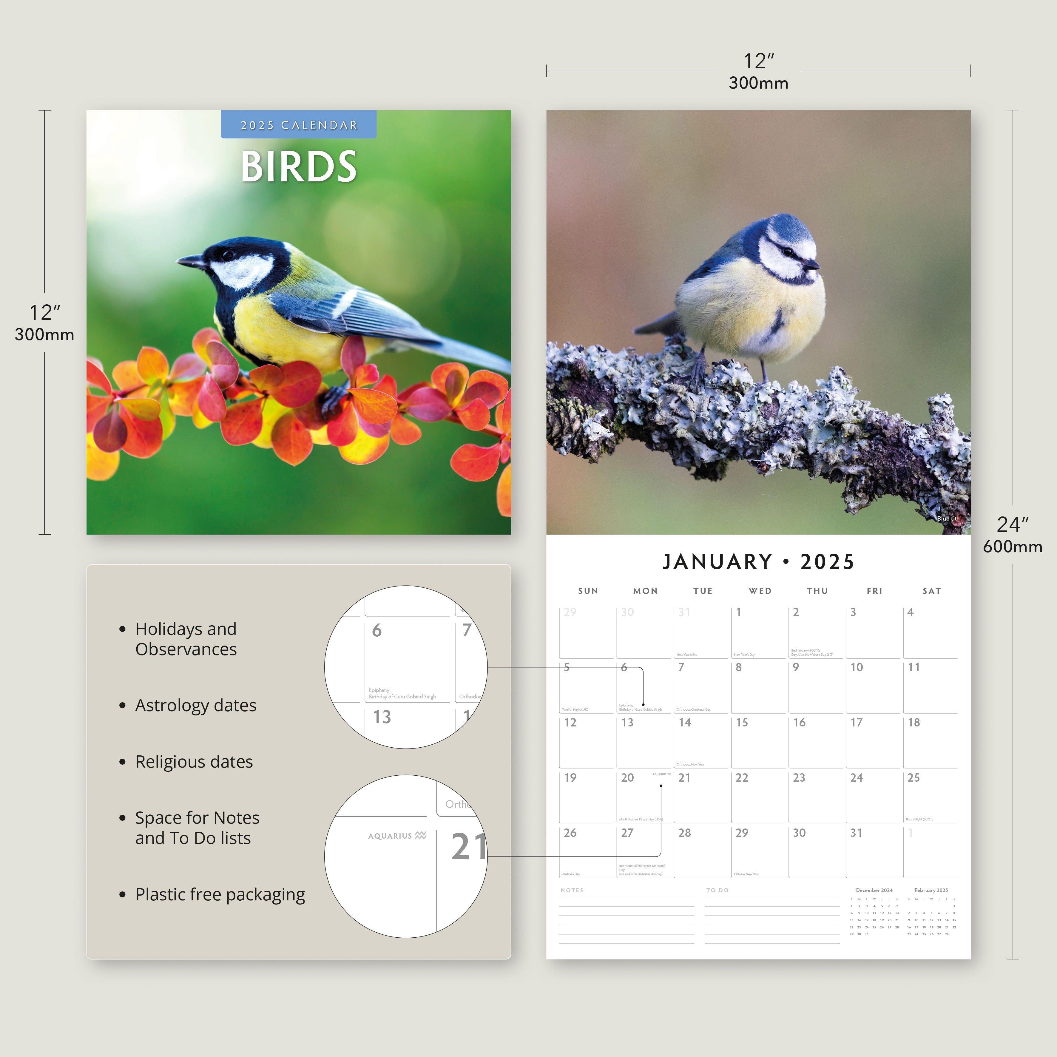 2025 Birds - Square Wall Calendar