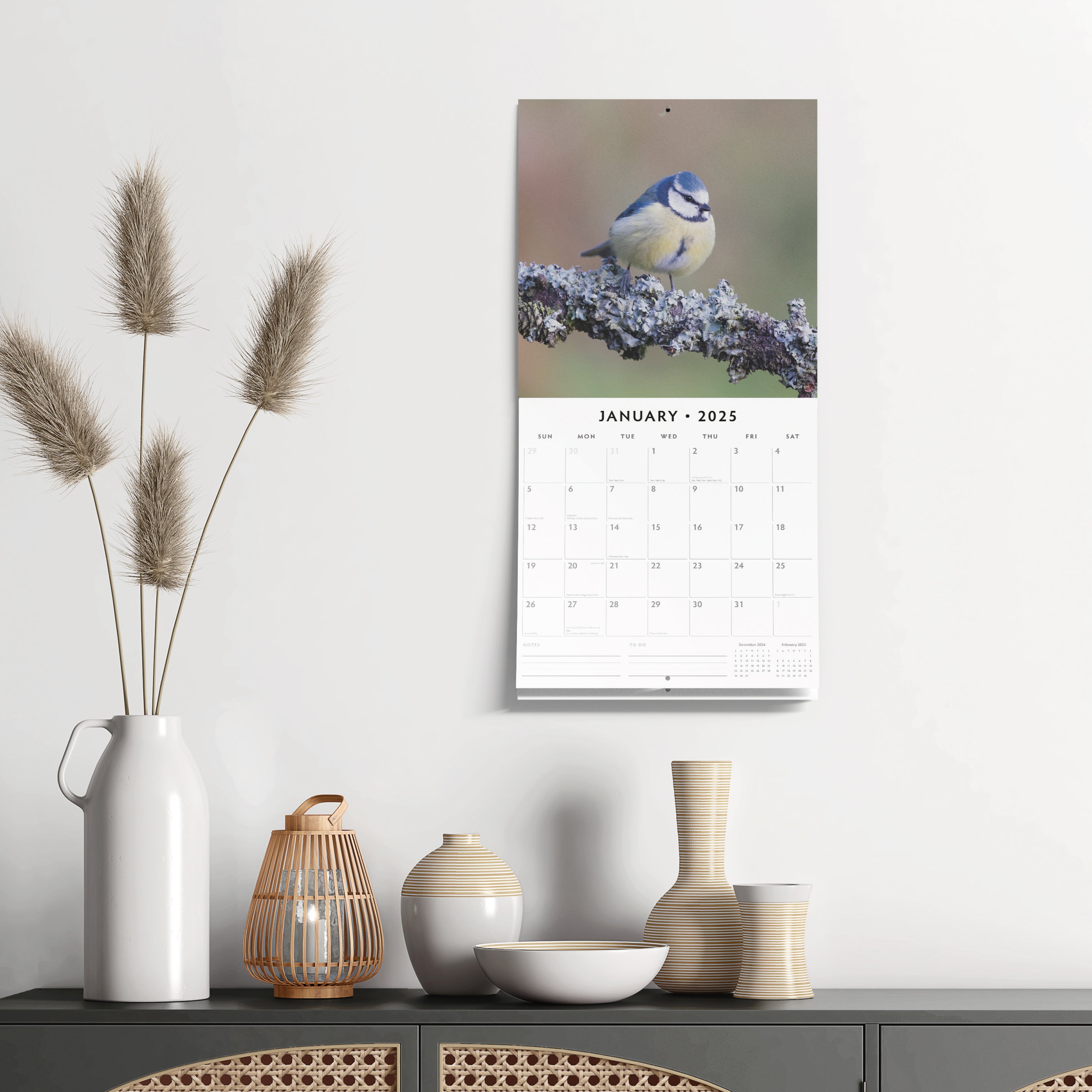 2025 Birds - Square Wall Calendar