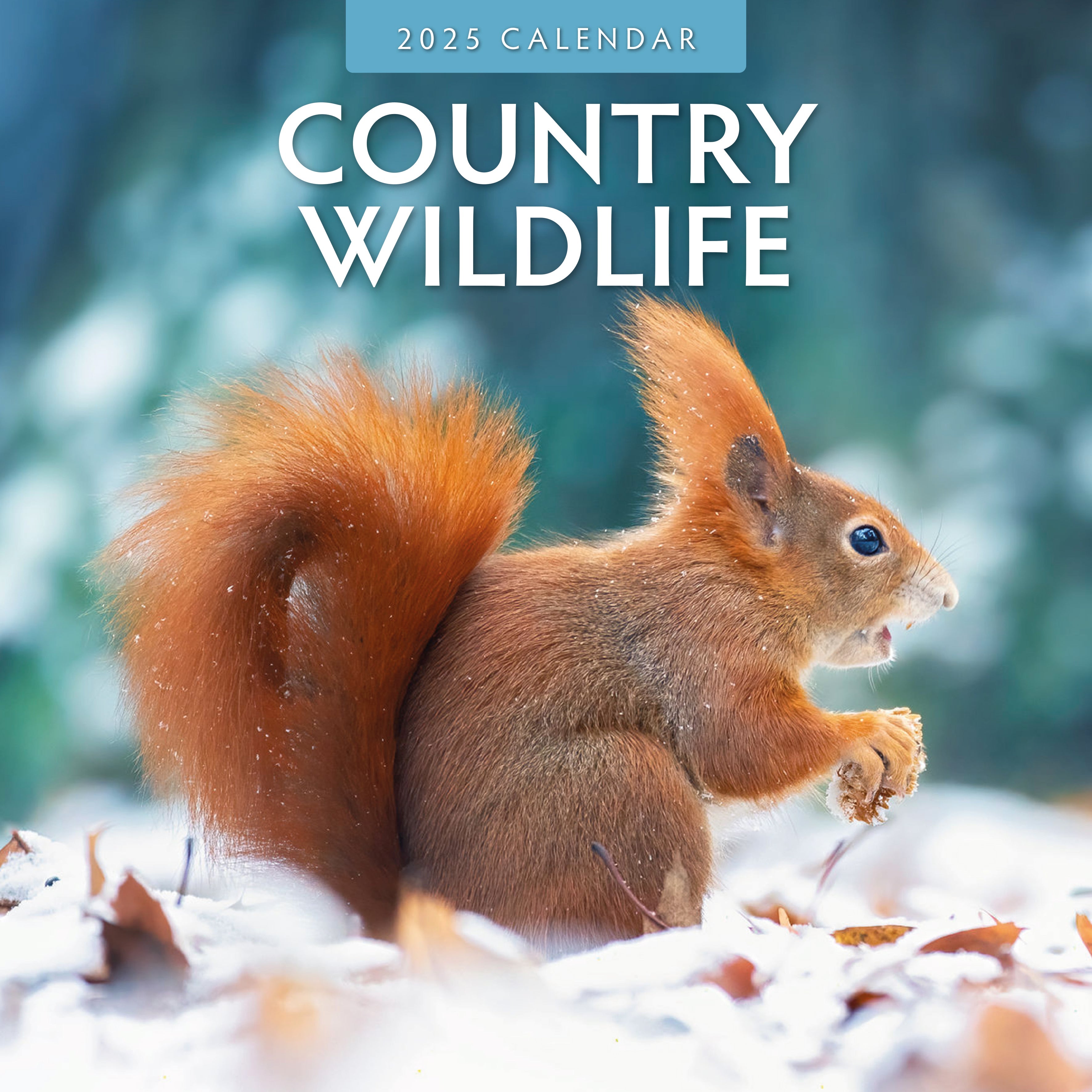 2025 Country Wildlife - Square Wall Calendar