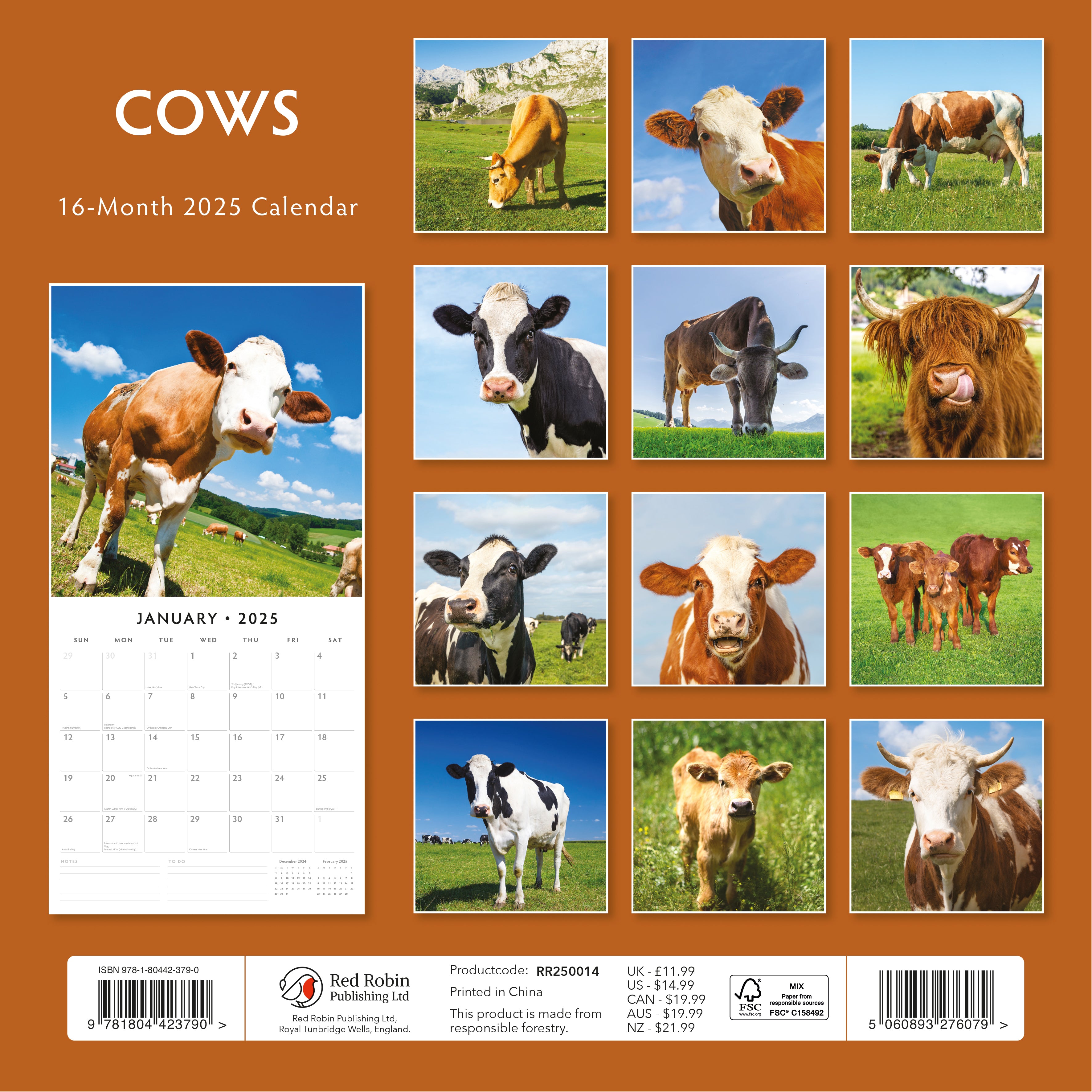 2025 Cows - Square Wall Calendar