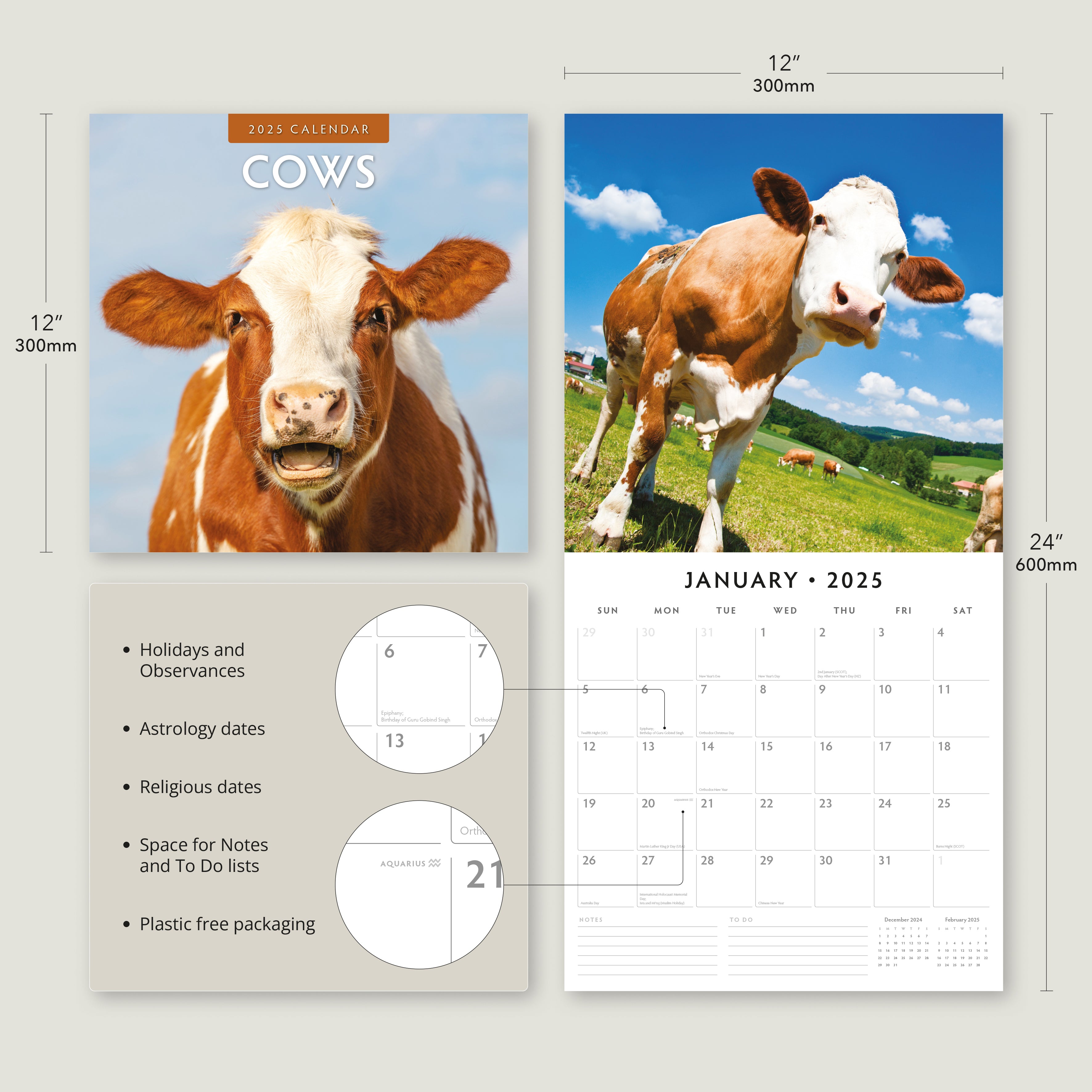 2025 Cows - Square Wall Calendar