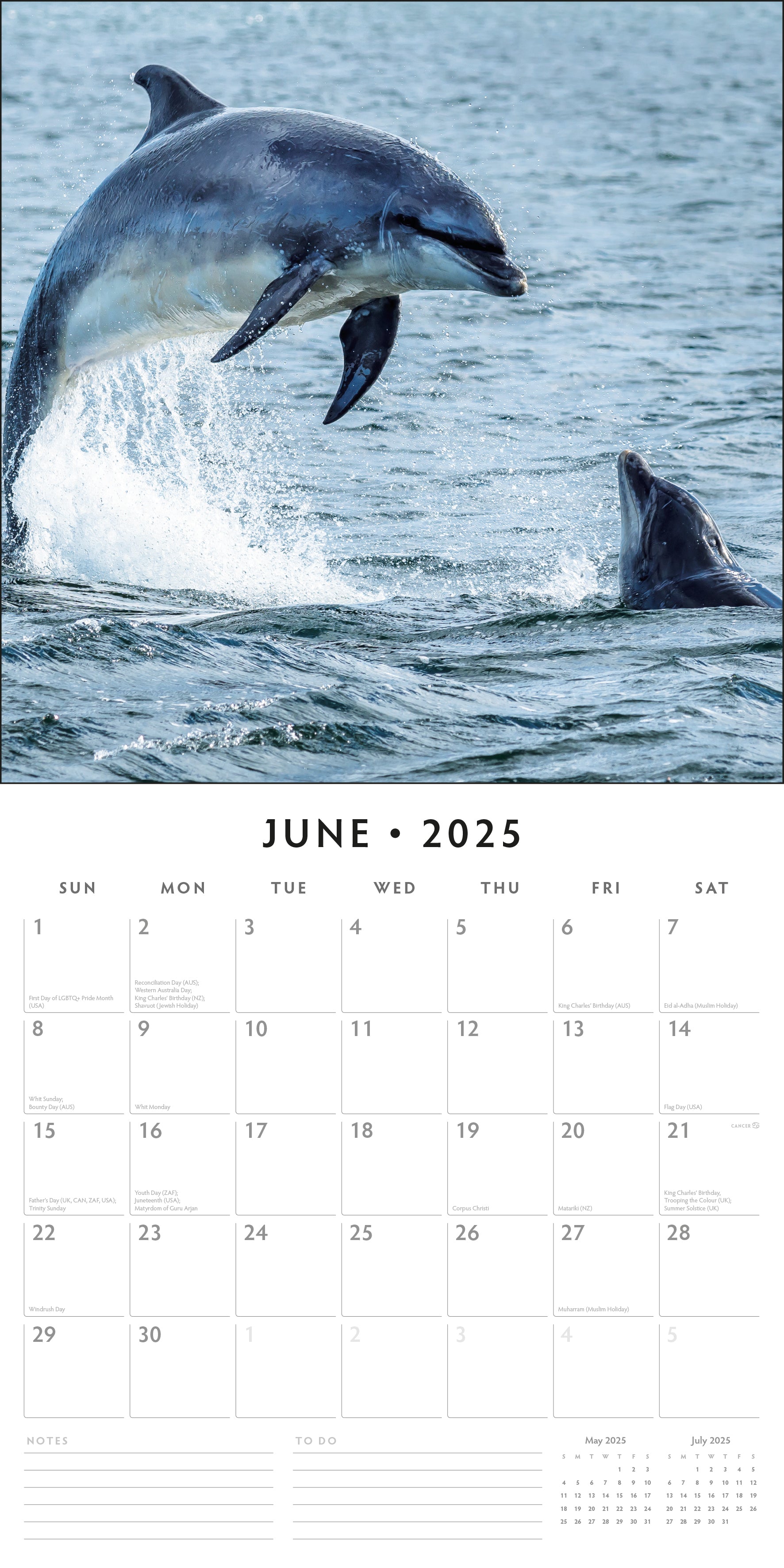 2025 Dolphins - Square Wall Calendar