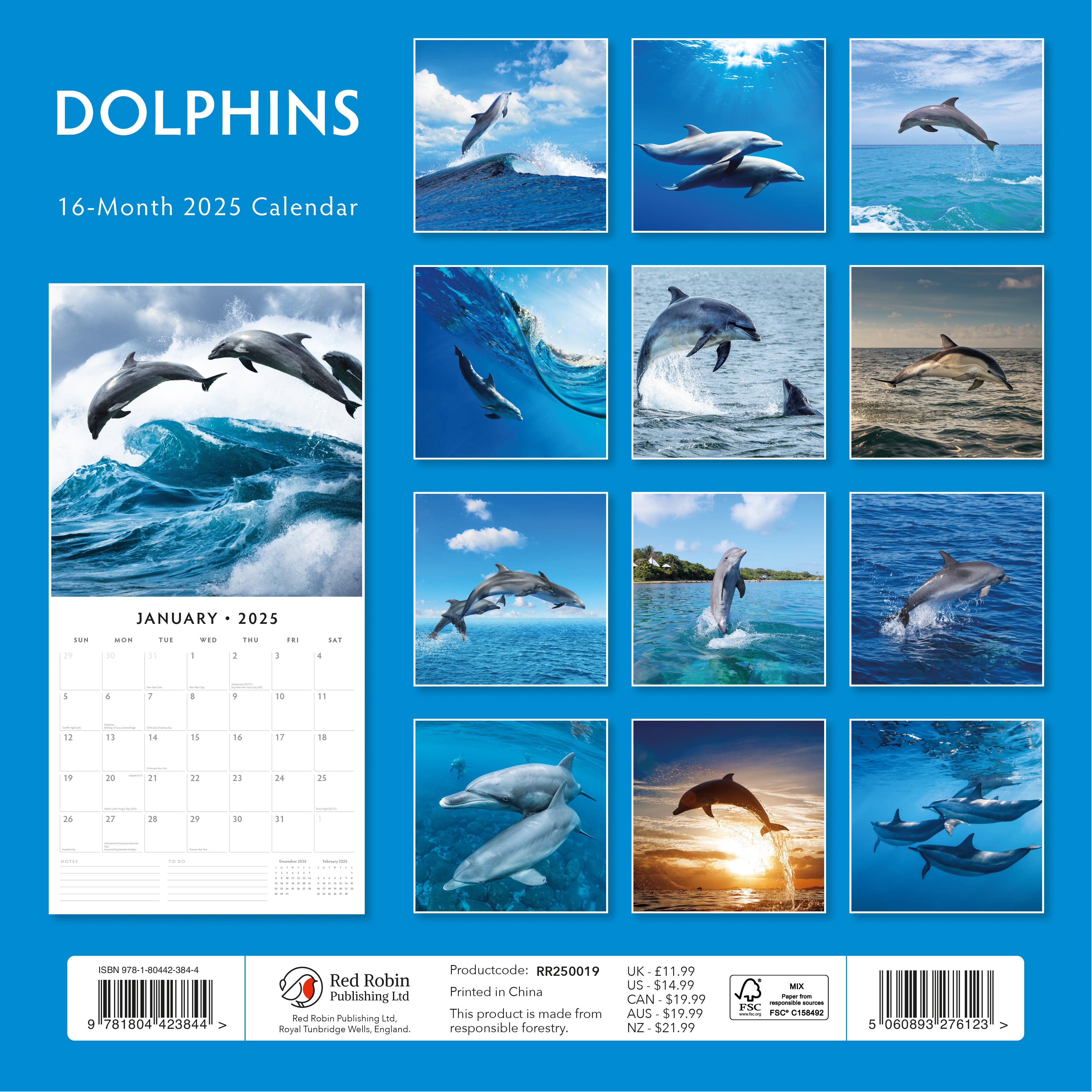 2025 Dolphins - Square Wall Calendar