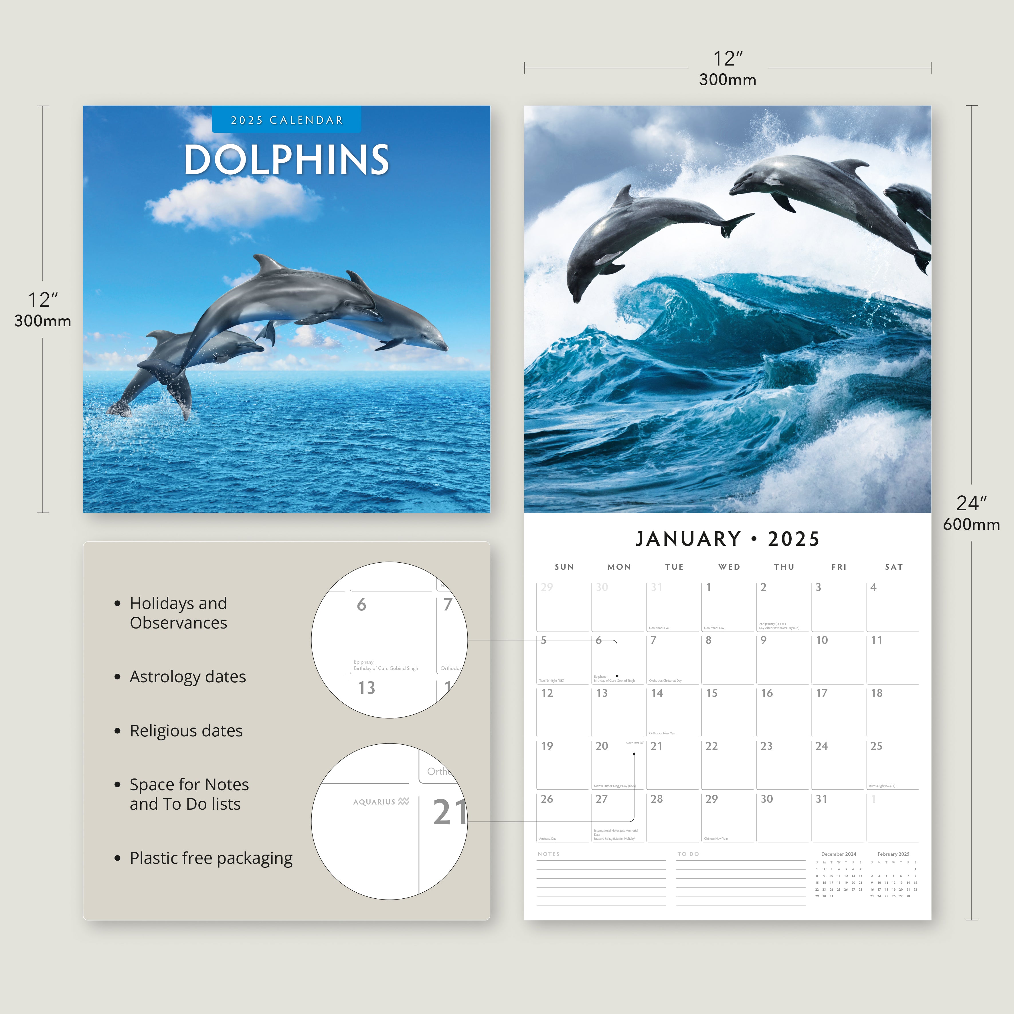 2025 Dolphins - Square Wall Calendar