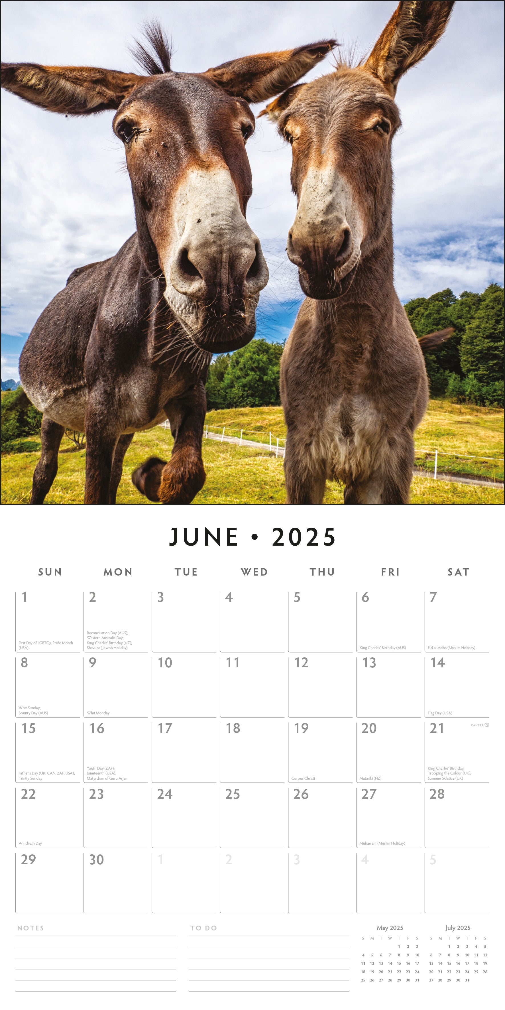 2025 Donkeys - Square Wall Calendar