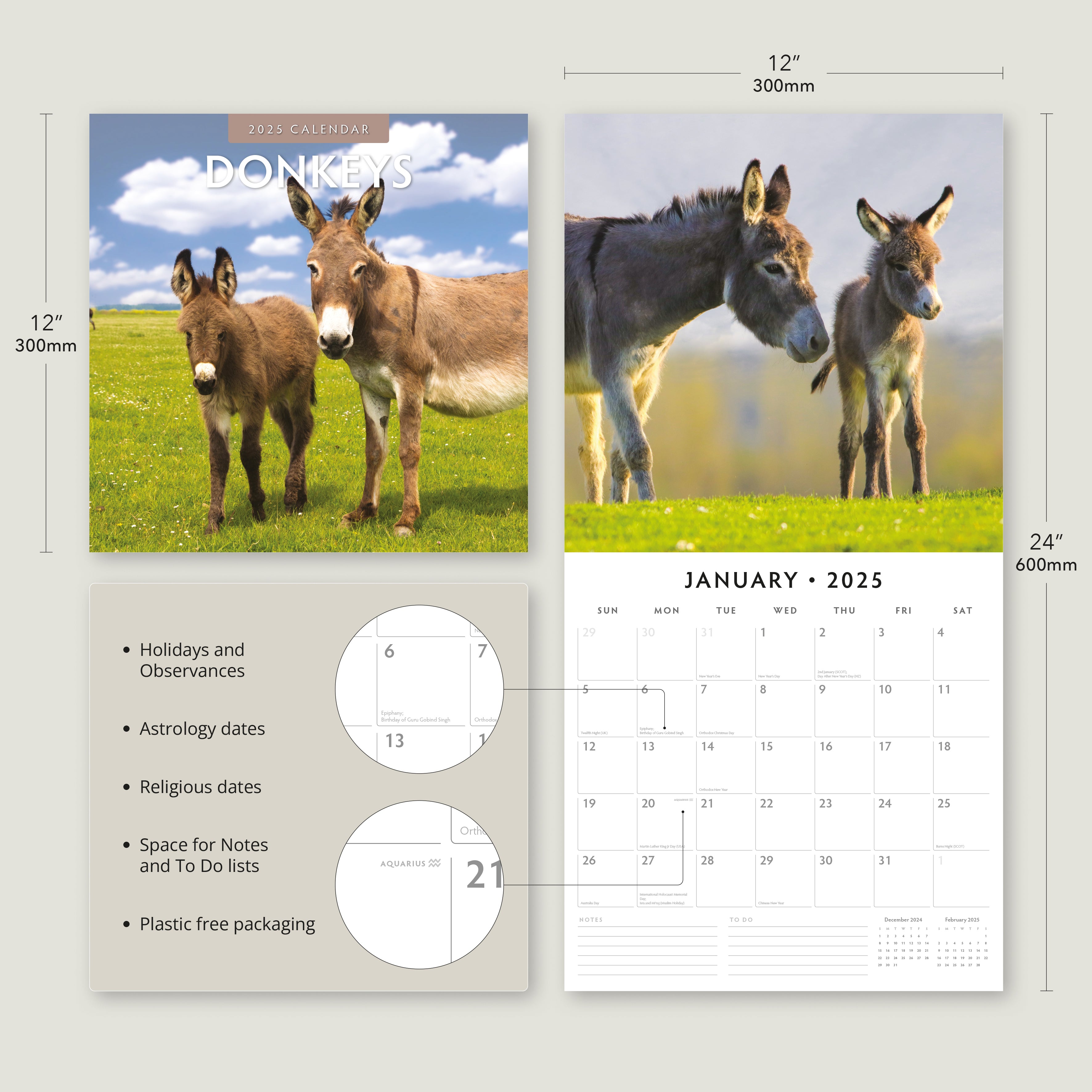 2025 Donkeys - Square Wall Calendar