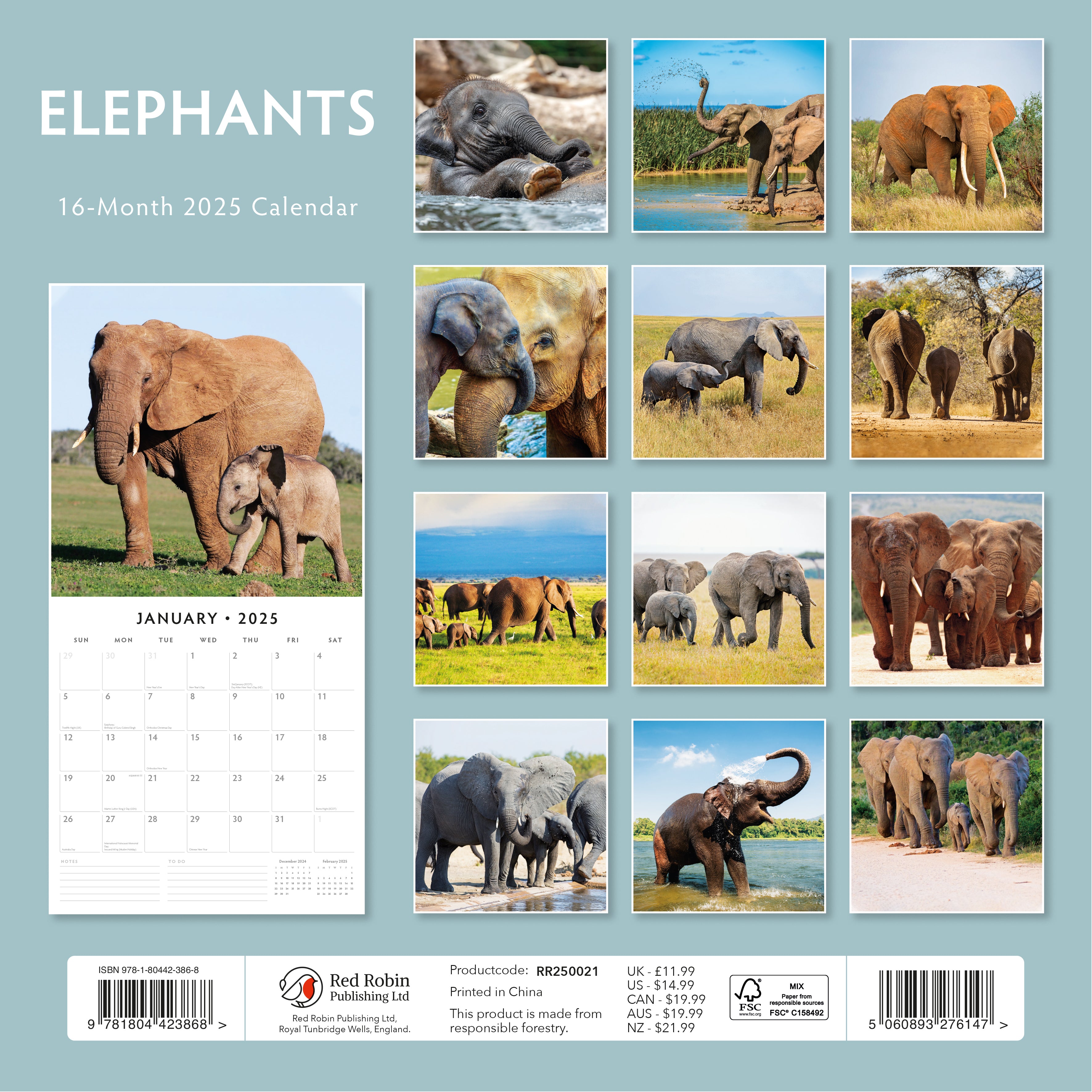 2025 Elephants - Square Wall Calendar