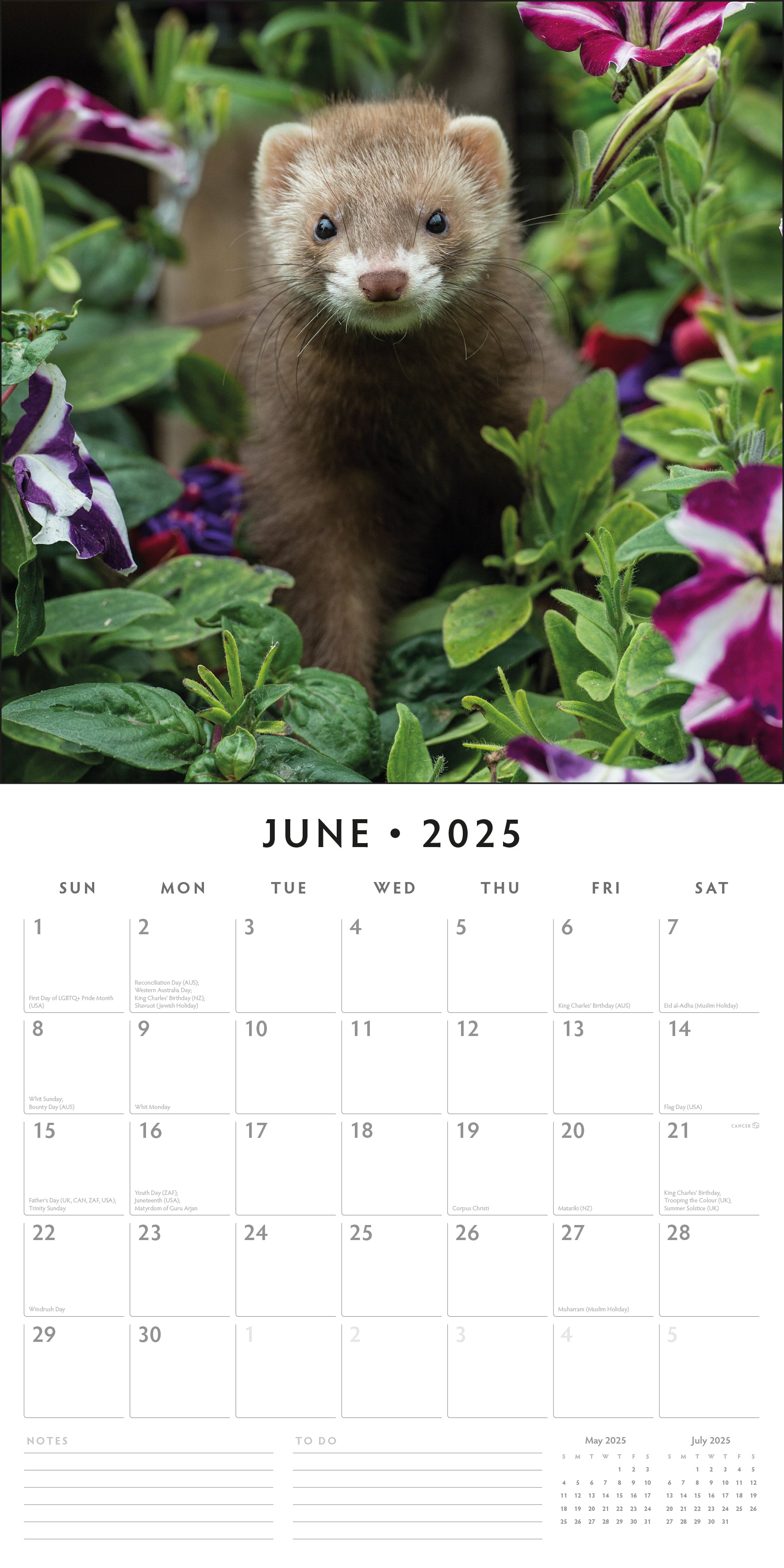 2025 Ferrets - Square Wall Calendar