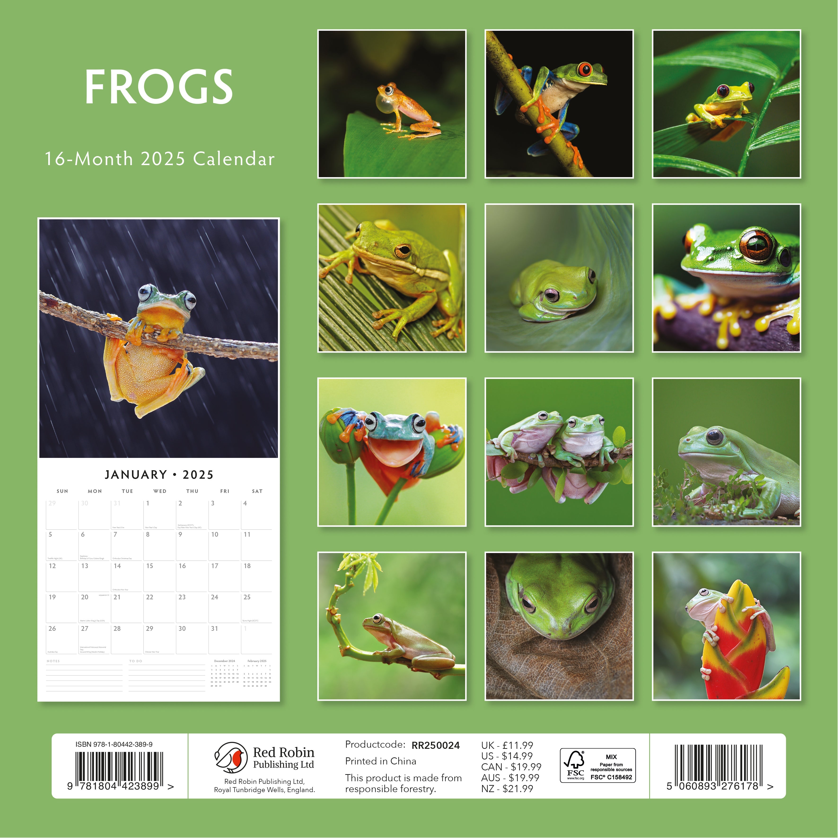 2025 Frogs - Square Wall Calendar