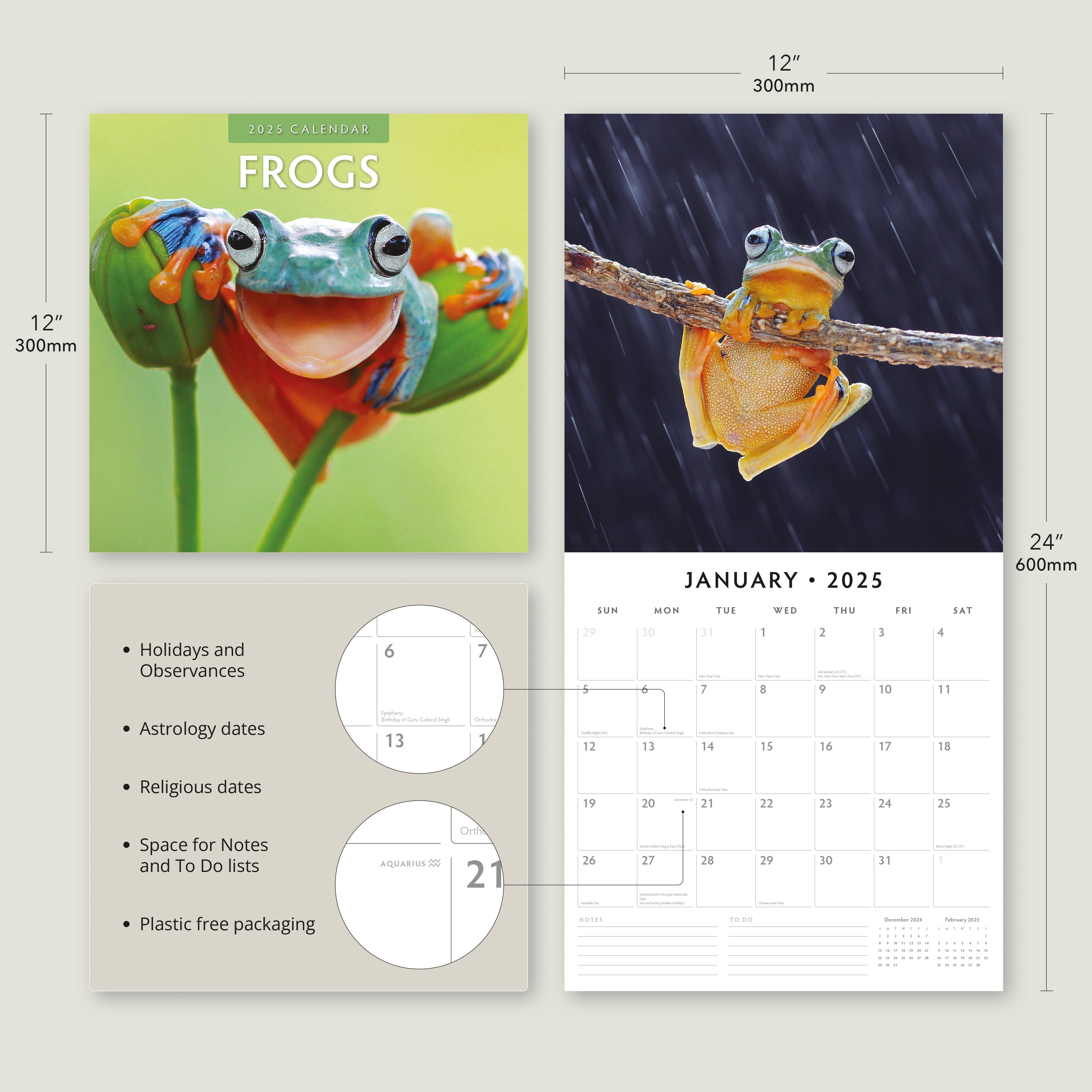 2025 Frogs - Square Wall Calendar