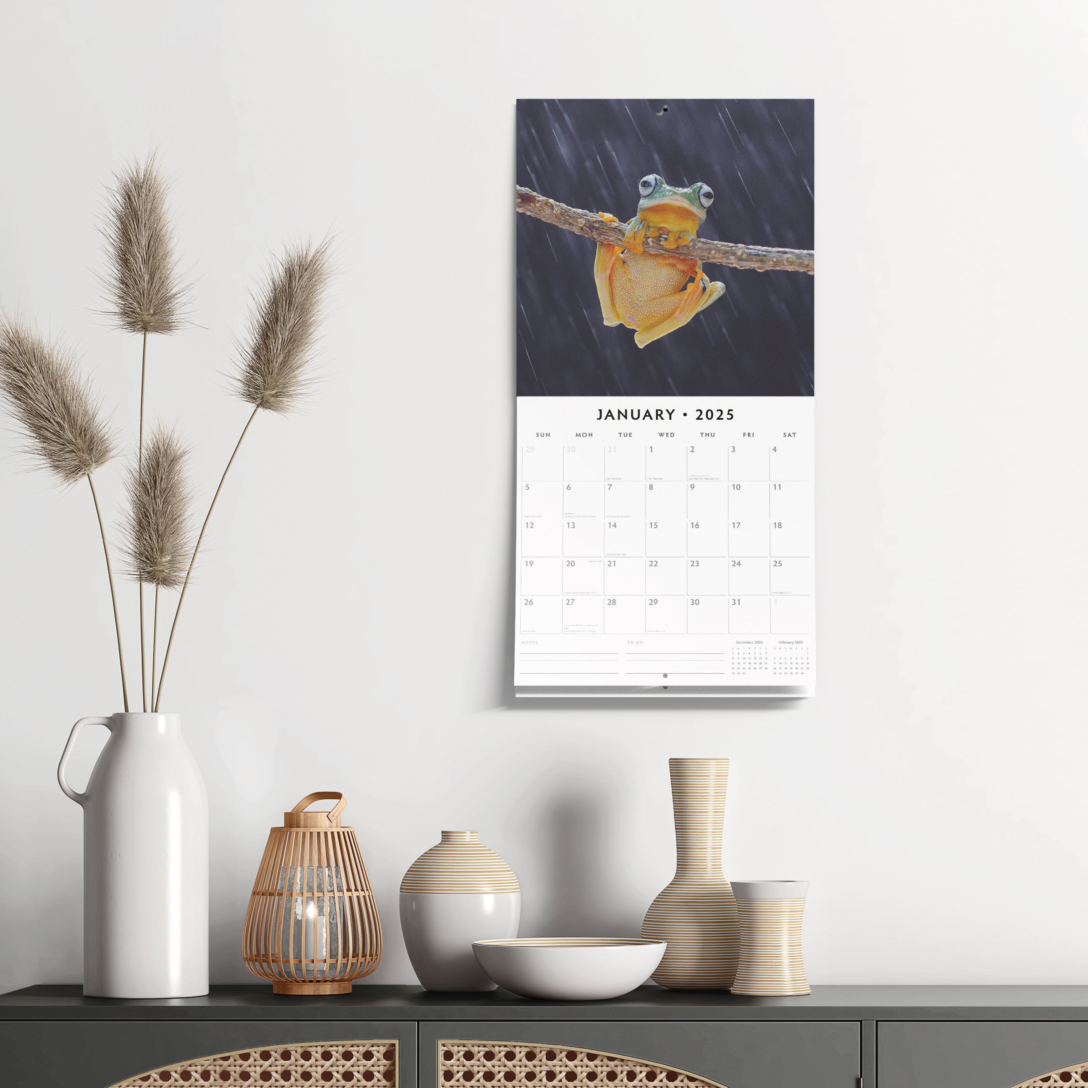 2025 Frogs - Square Wall Calendar