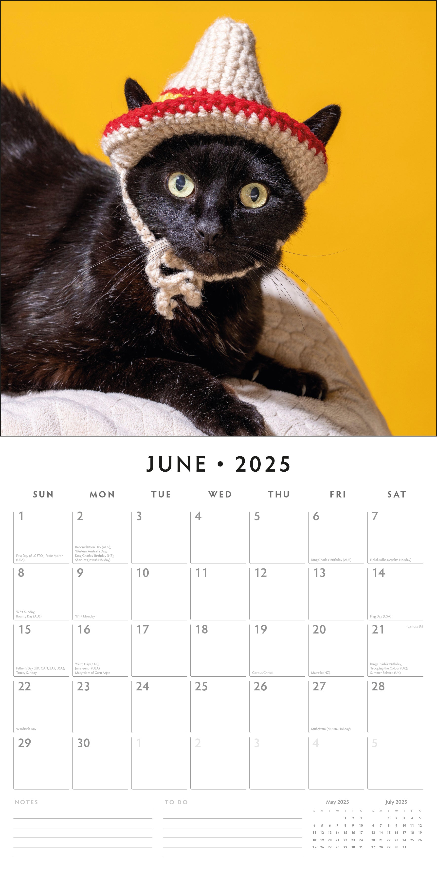 2025 Funny Cats - Square Wall Calendar