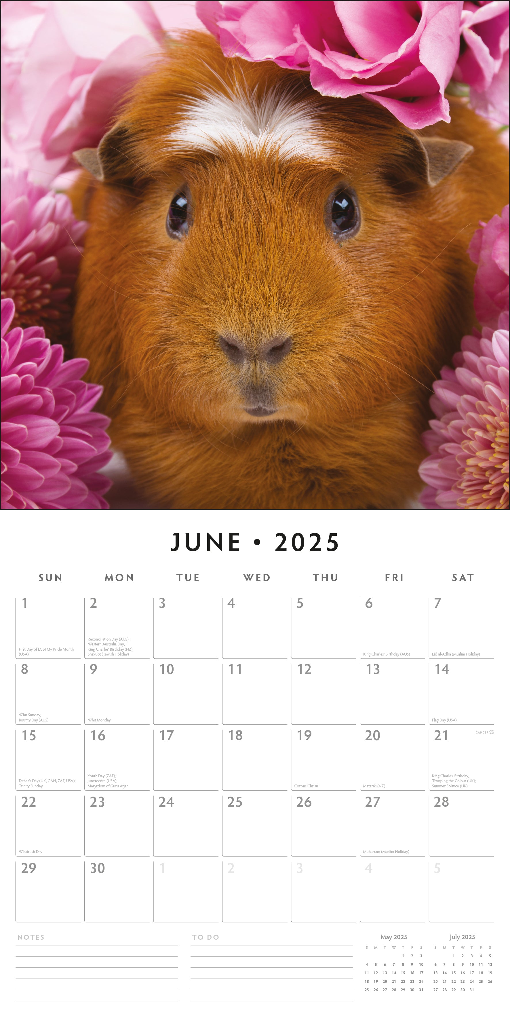 2025 Guinea Pigs - Square Wall Calendar