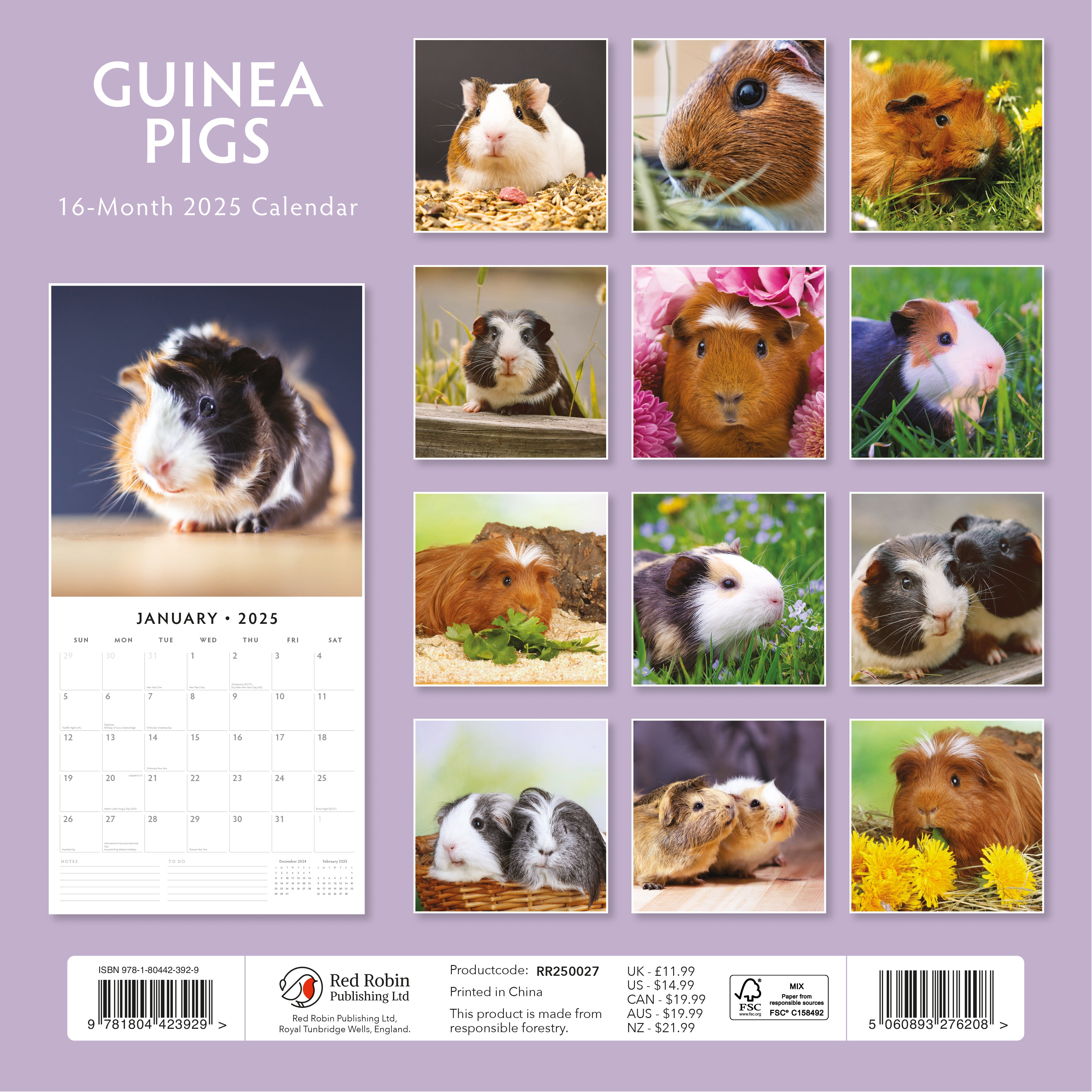 2025 Guinea Pigs - Square Wall Calendar