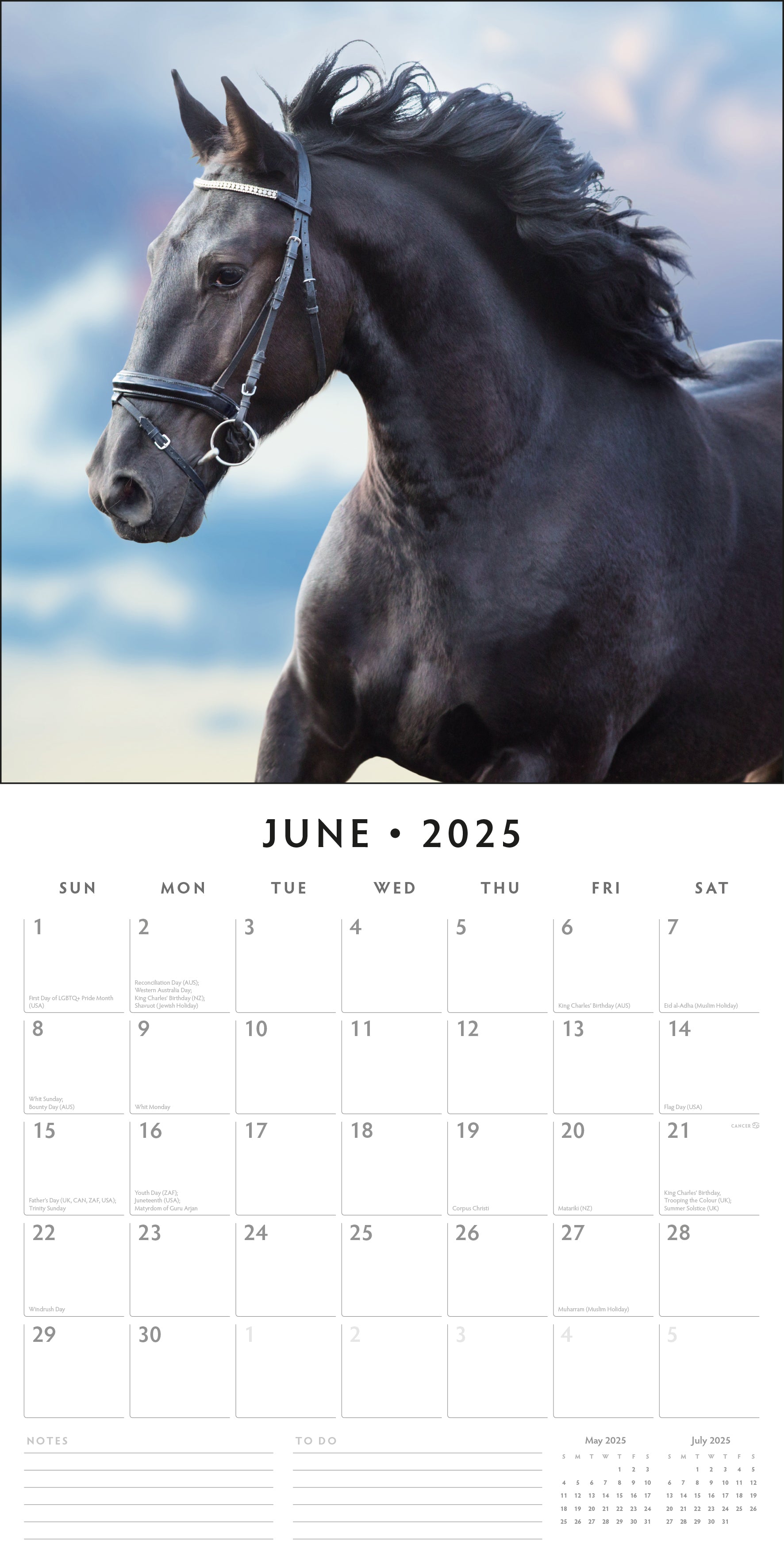 2025 Horses - Square Wall Calendar