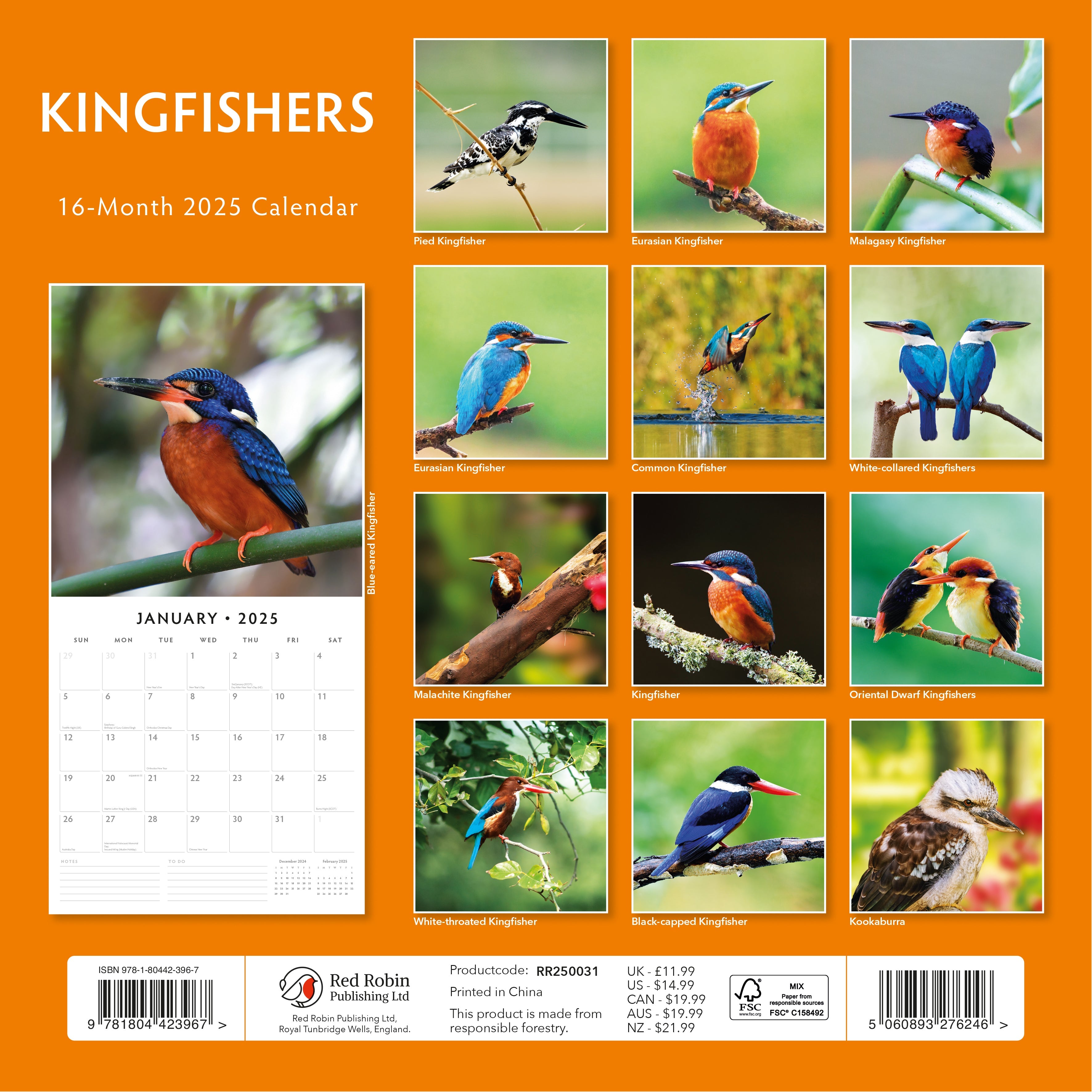 2025 Kingfishers - Square Wall Calendar