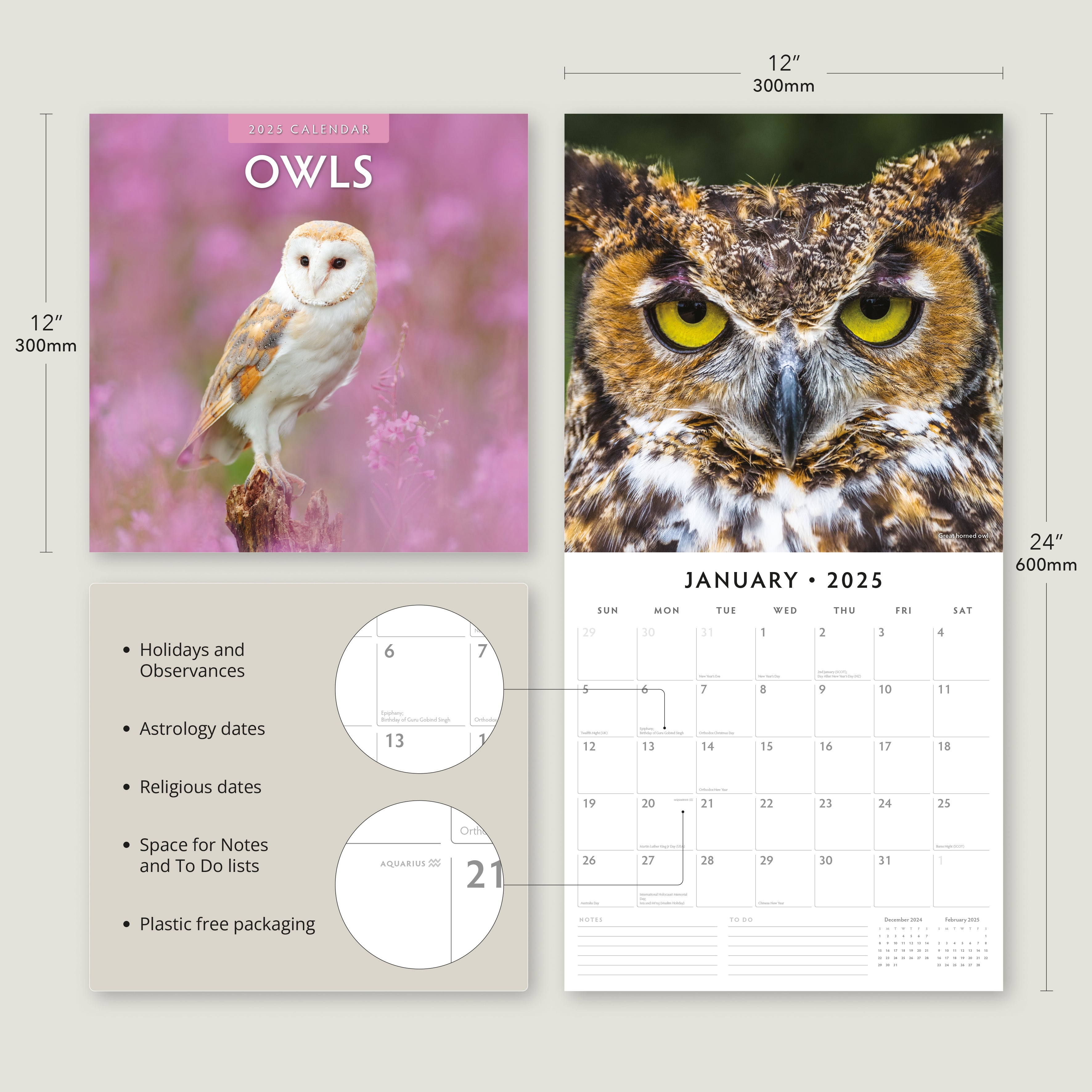 2025 Owls - Square Wall Calendar