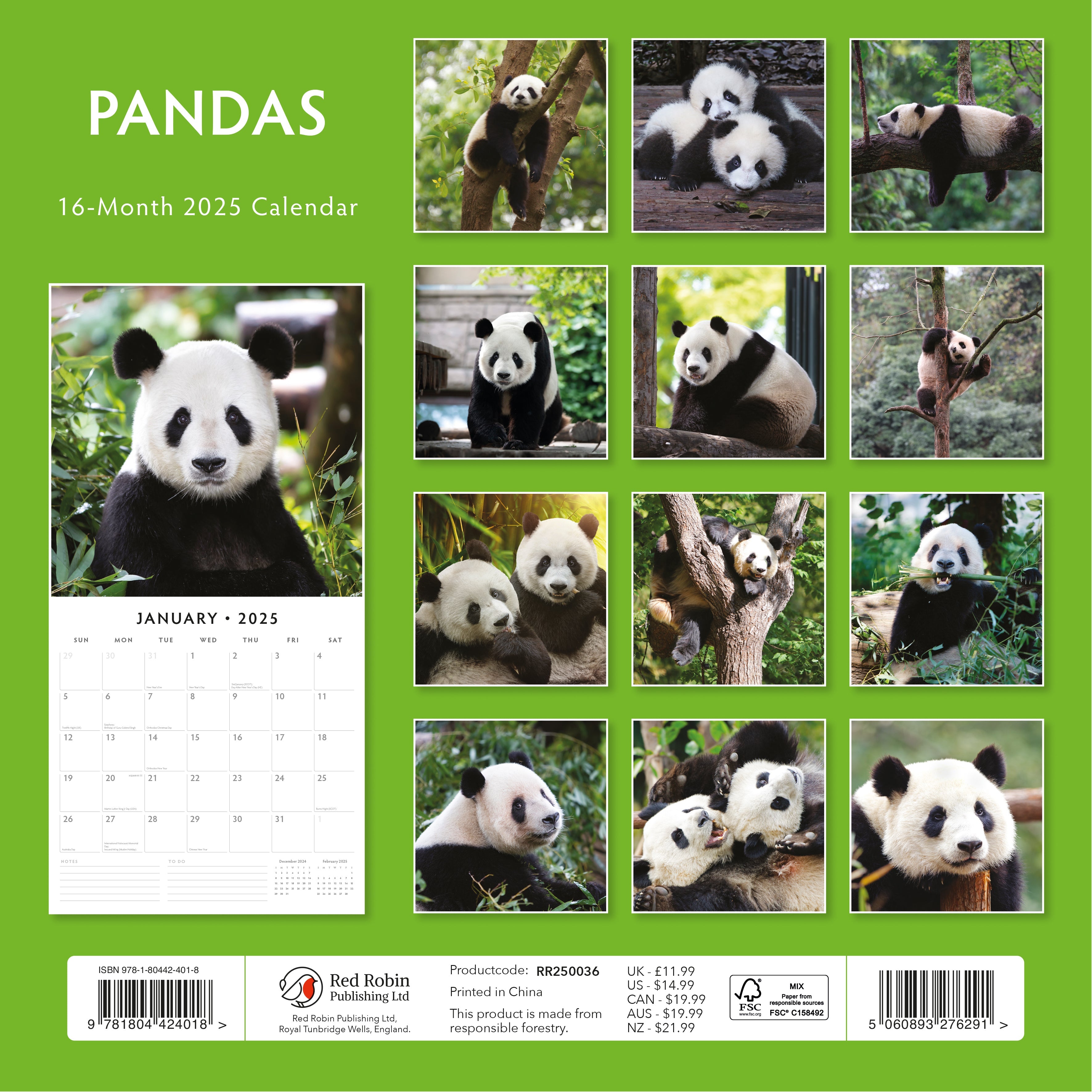 2025 Pandas - Square Wall Calendar