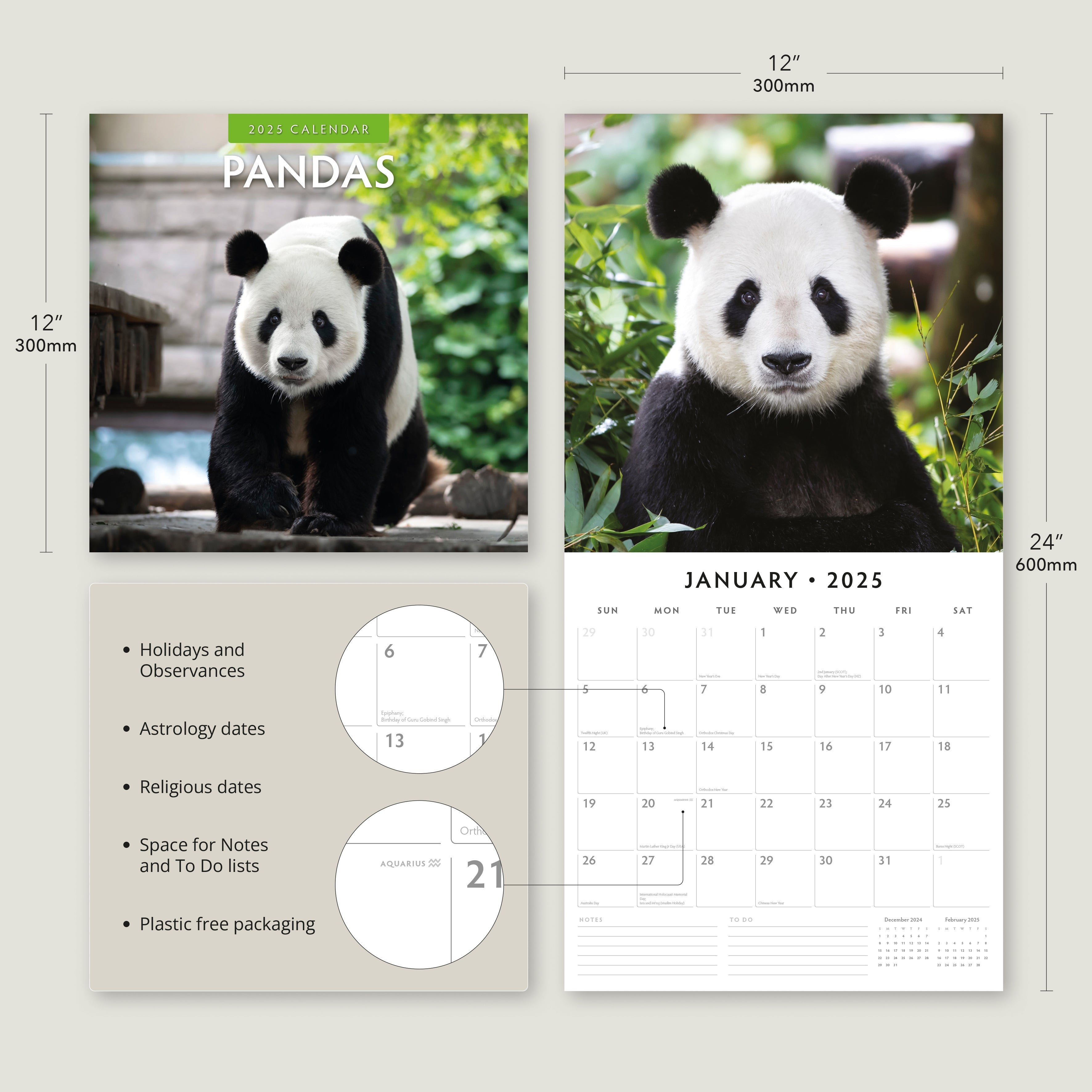 2025 Pandas - Square Wall Calendar